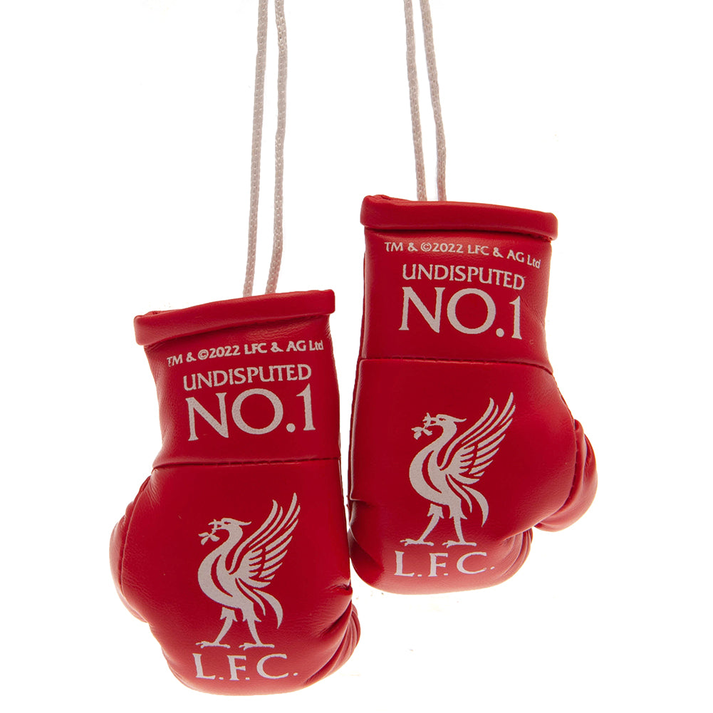 View Liverpool FC Mini Boxing Gloves RD information