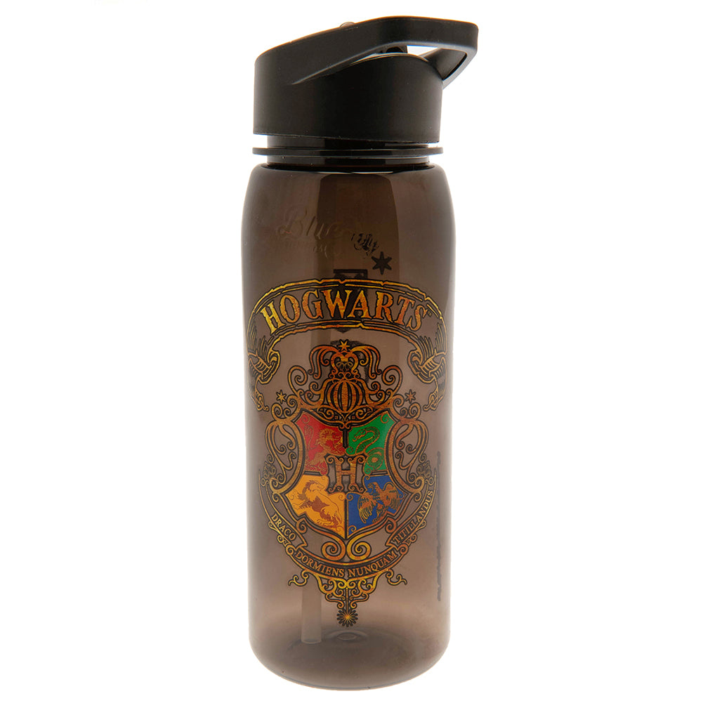 View Harry Potter Flip Top Drinks Bottle information