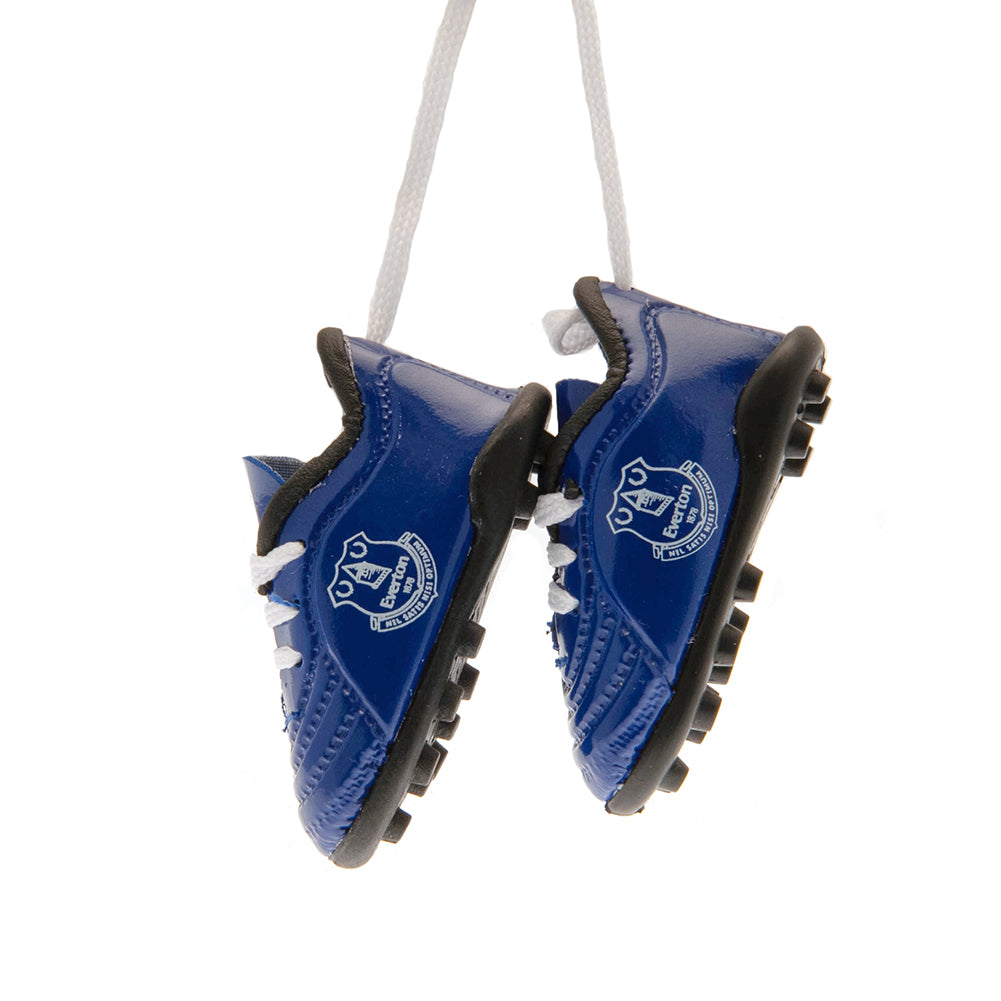 View Everton FC Mini Football Boots information