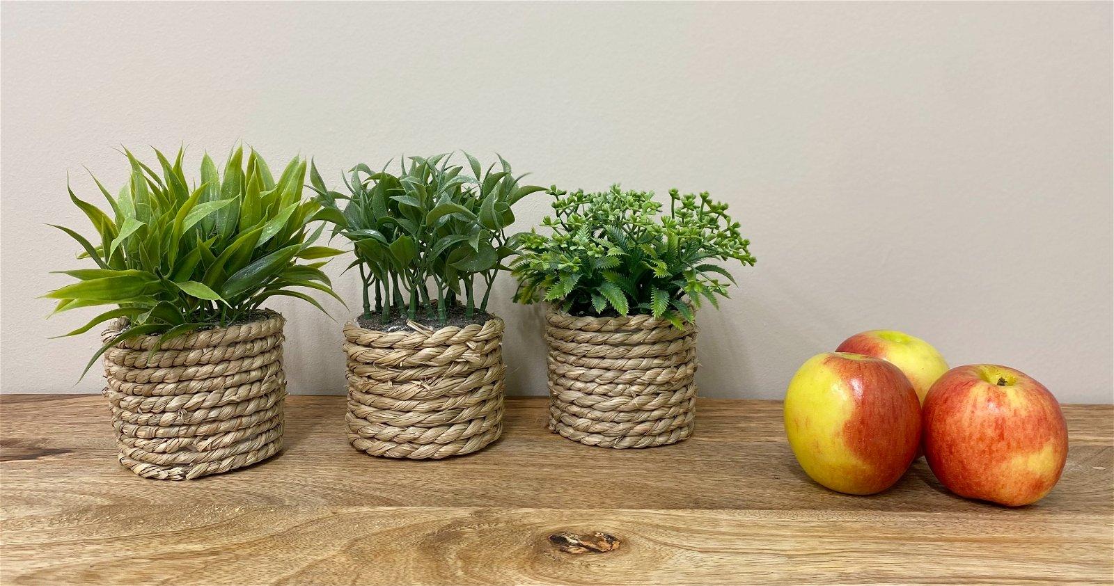 View A Set Of Three Rope Effect Pots And Artificial Succulents information