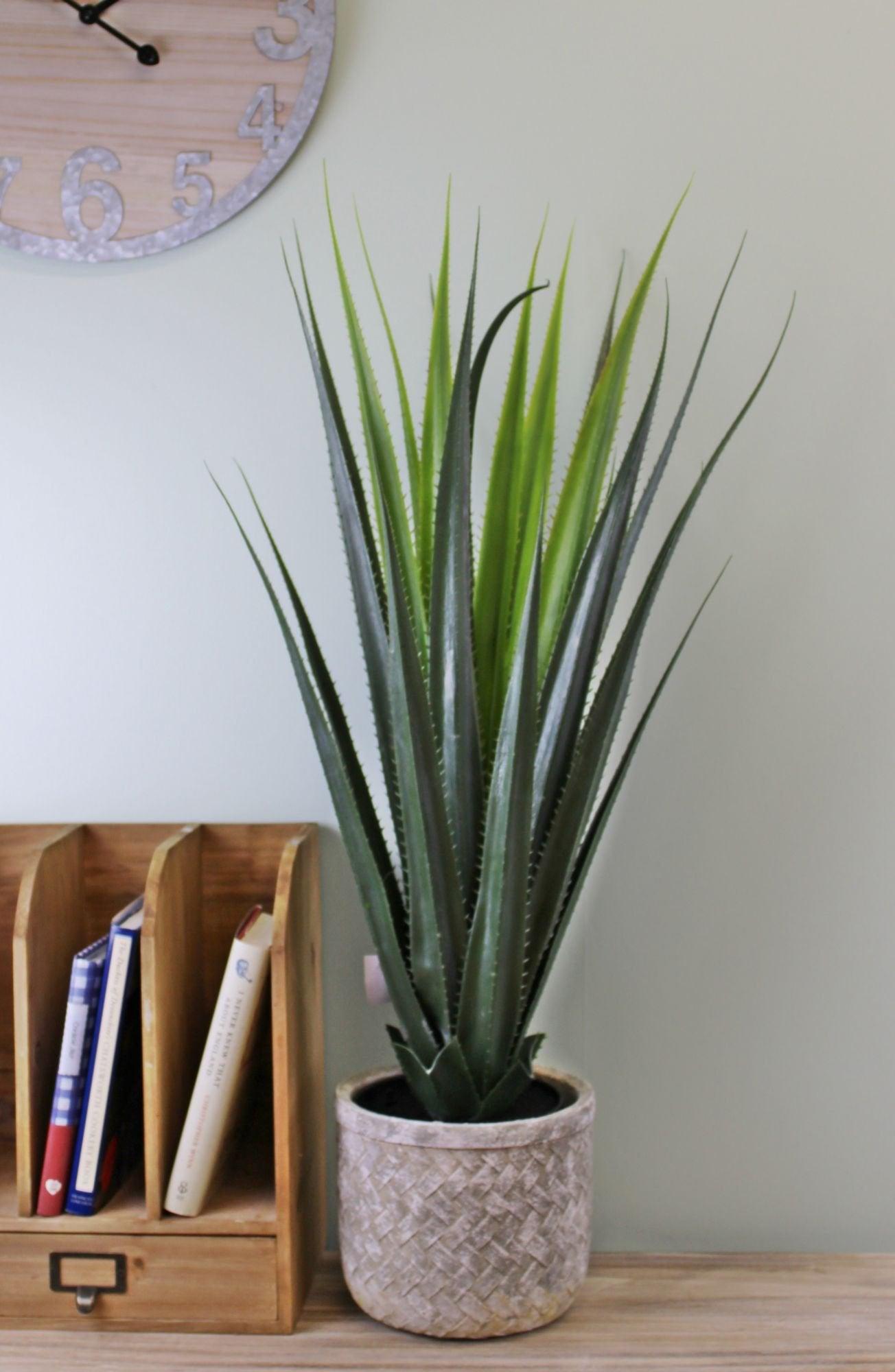 View Artificial Aloe Vera Plant 80cm information