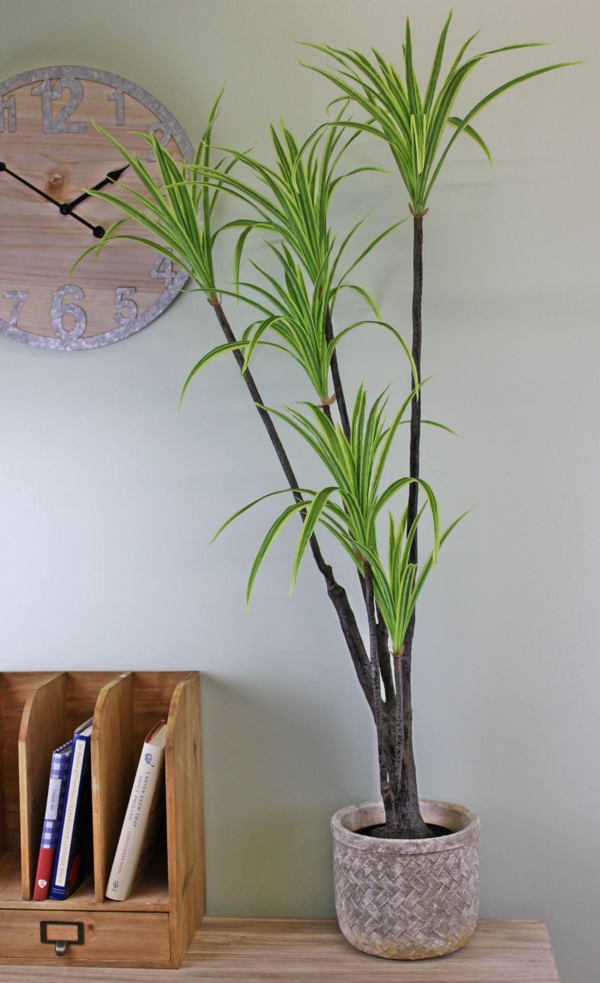 View Artificial Dracaena Marginata tree 120cm information