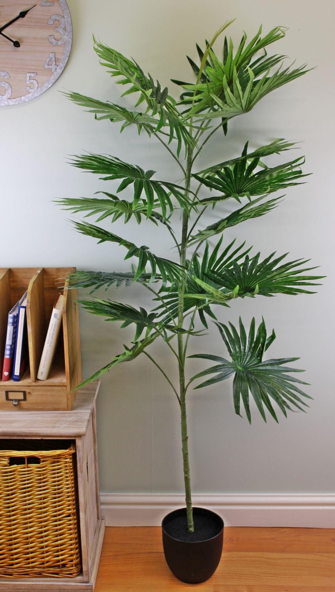 View Artificial Fan Palm Tree with 18 leaves 160cm information