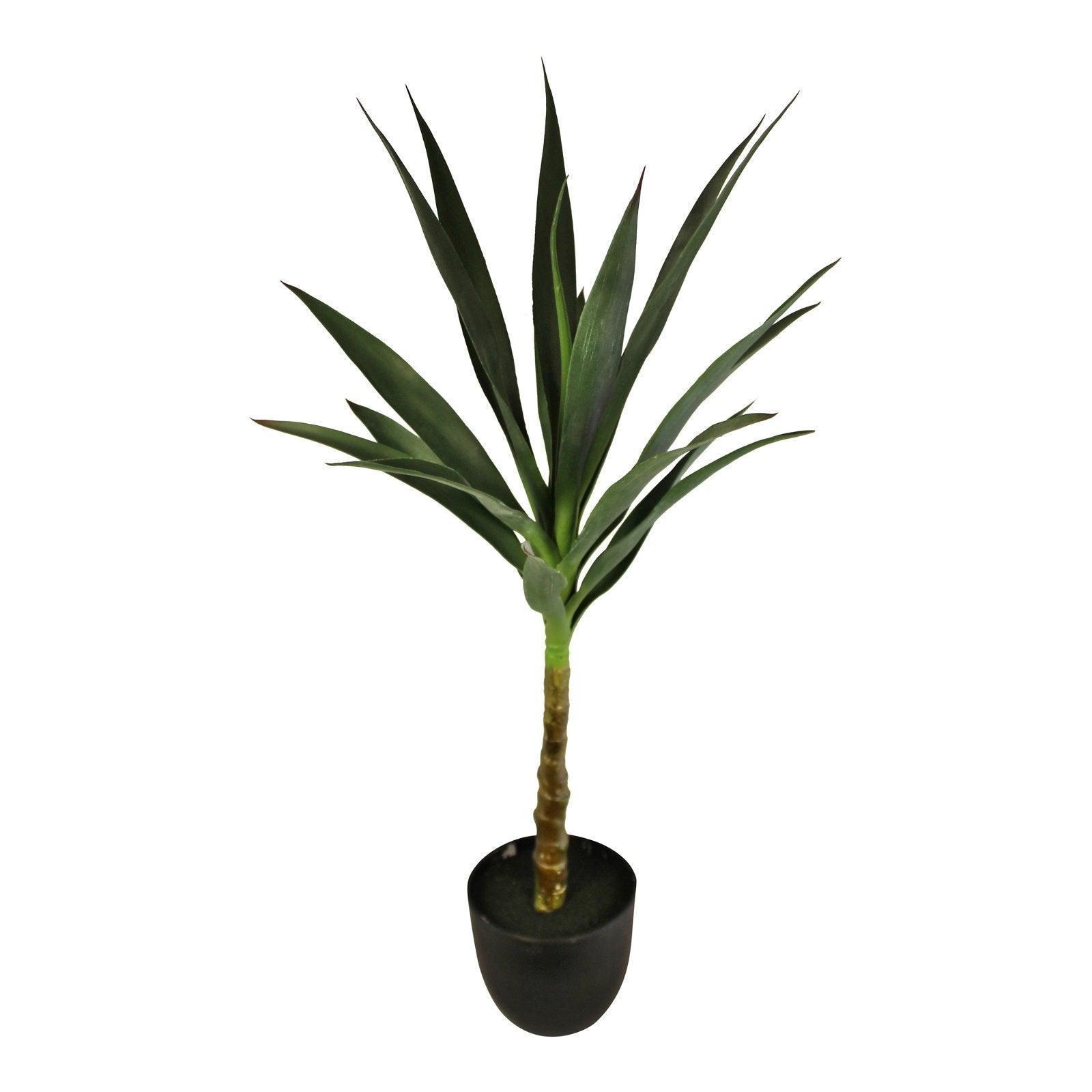 View Artificial Single Trunk Yucca Tree 80cm information