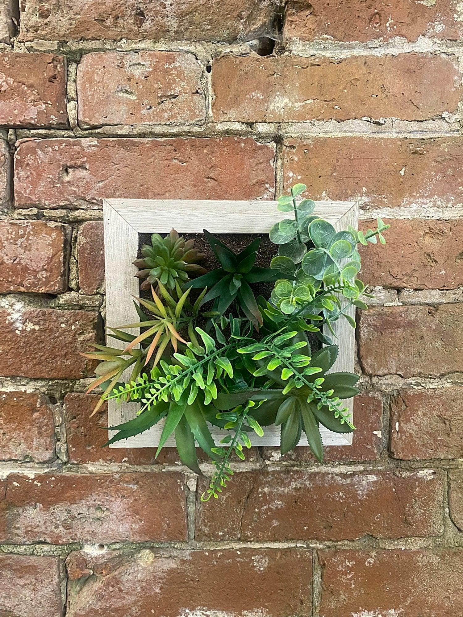 View Artificial Succulents In Square Wooden Frame information