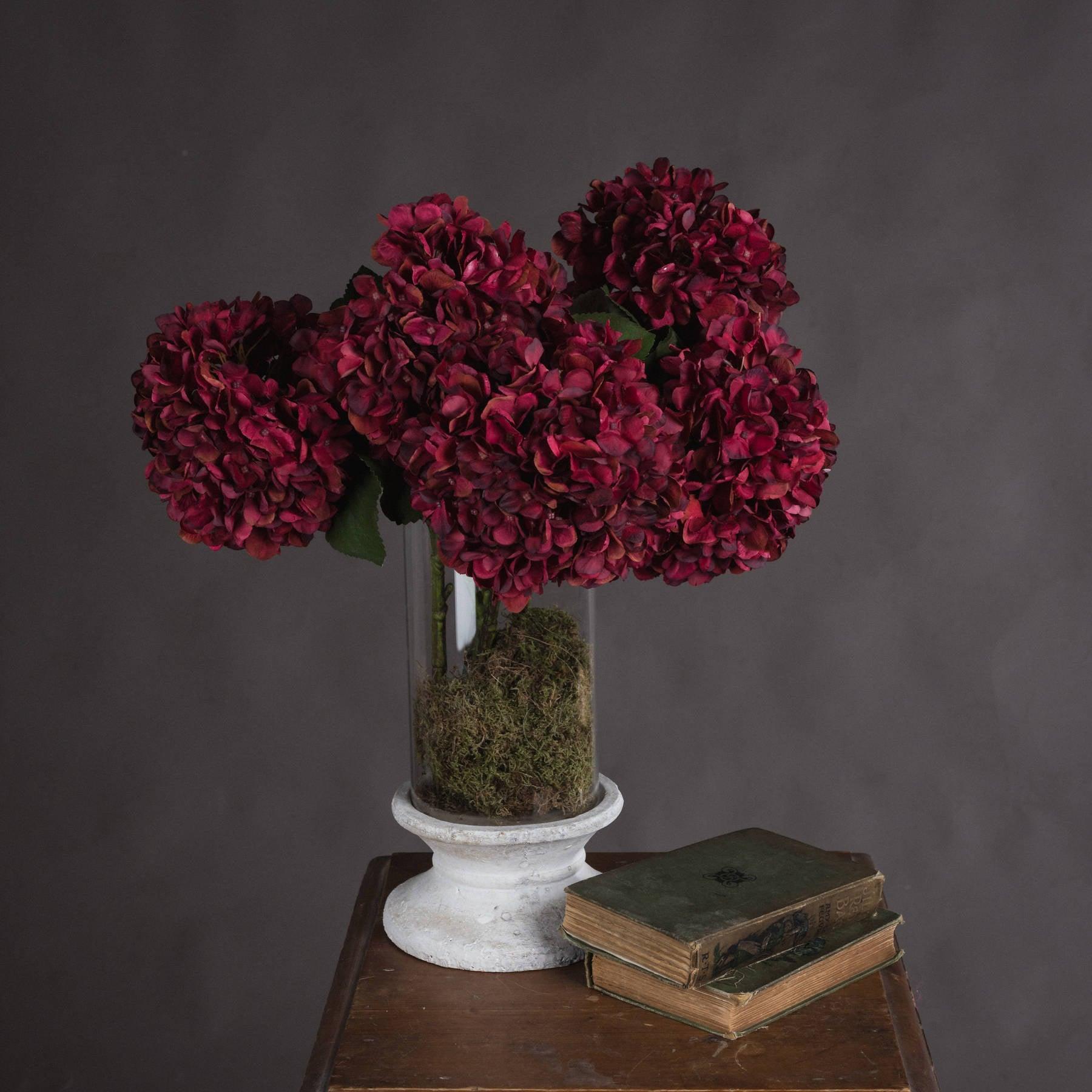 View Autumn Ruby Hydrangea information