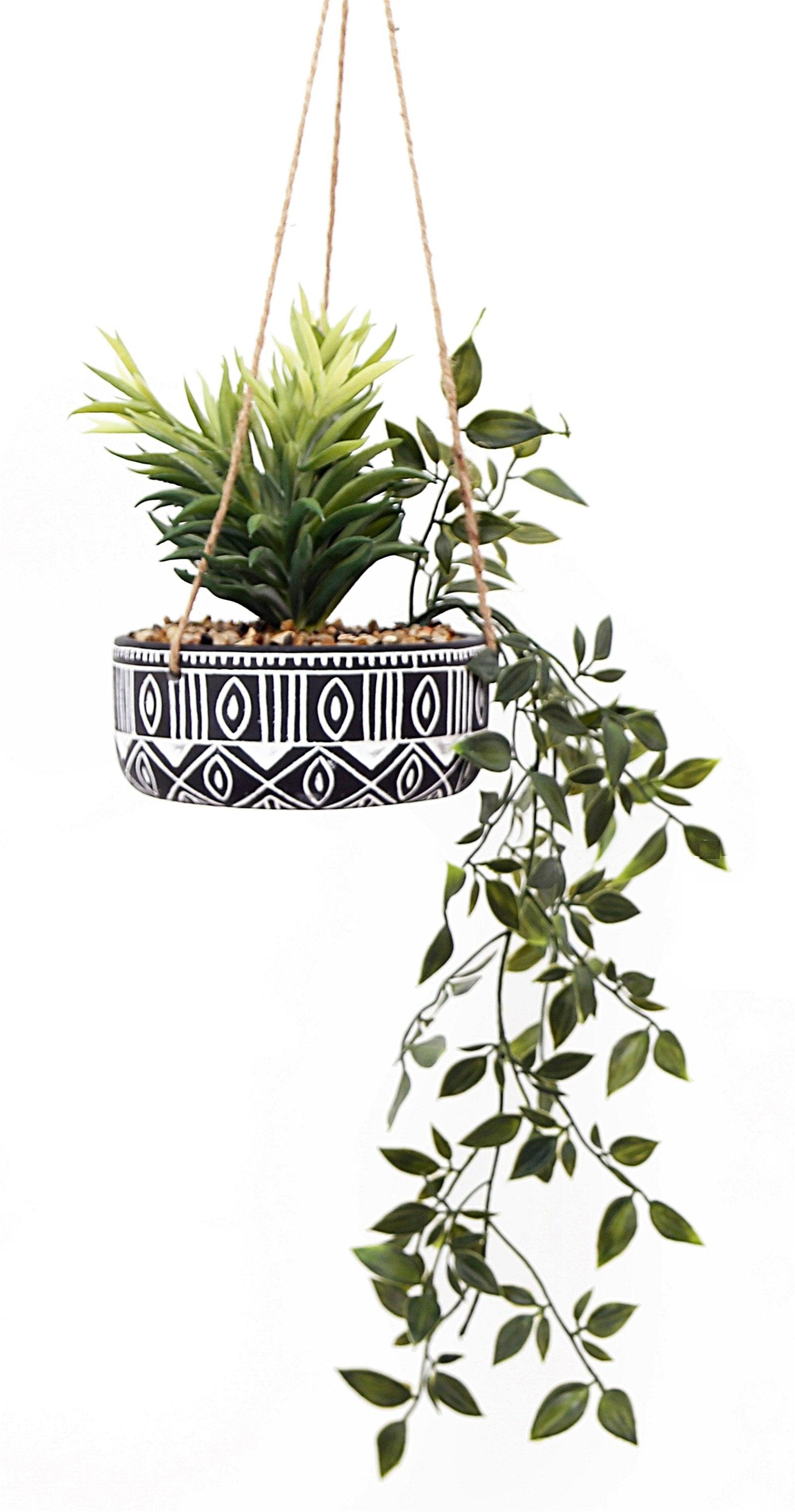 View Black Ceramic Hanging Pot with Plants information