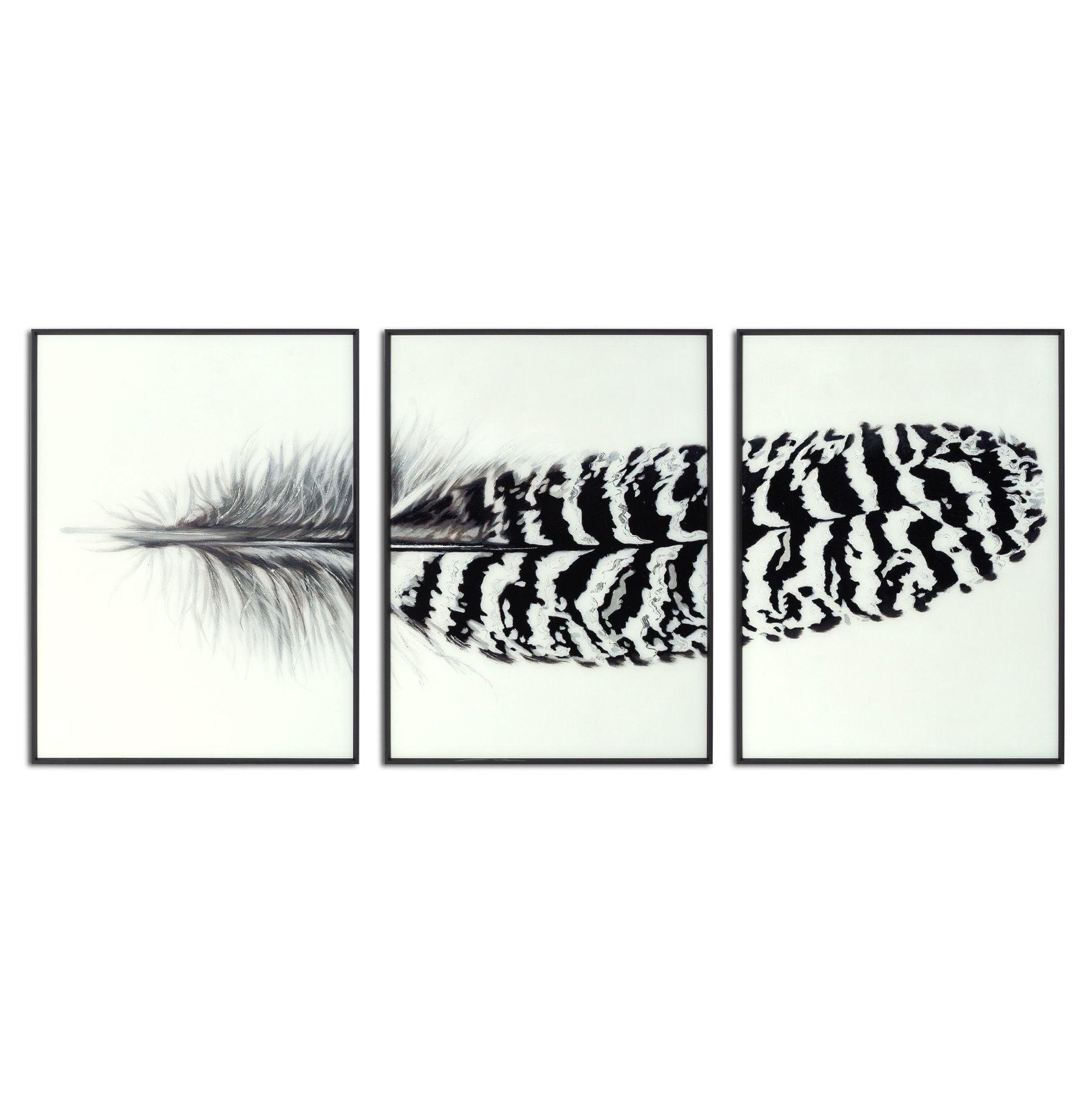 View Black Striped Feather Over 3 Black Glass Frames information