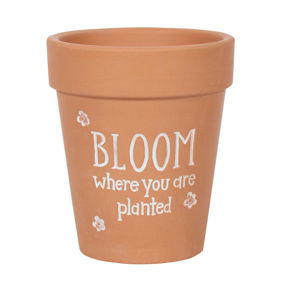View Bloom Where You Are Planted Terracotta Plant Pot information
