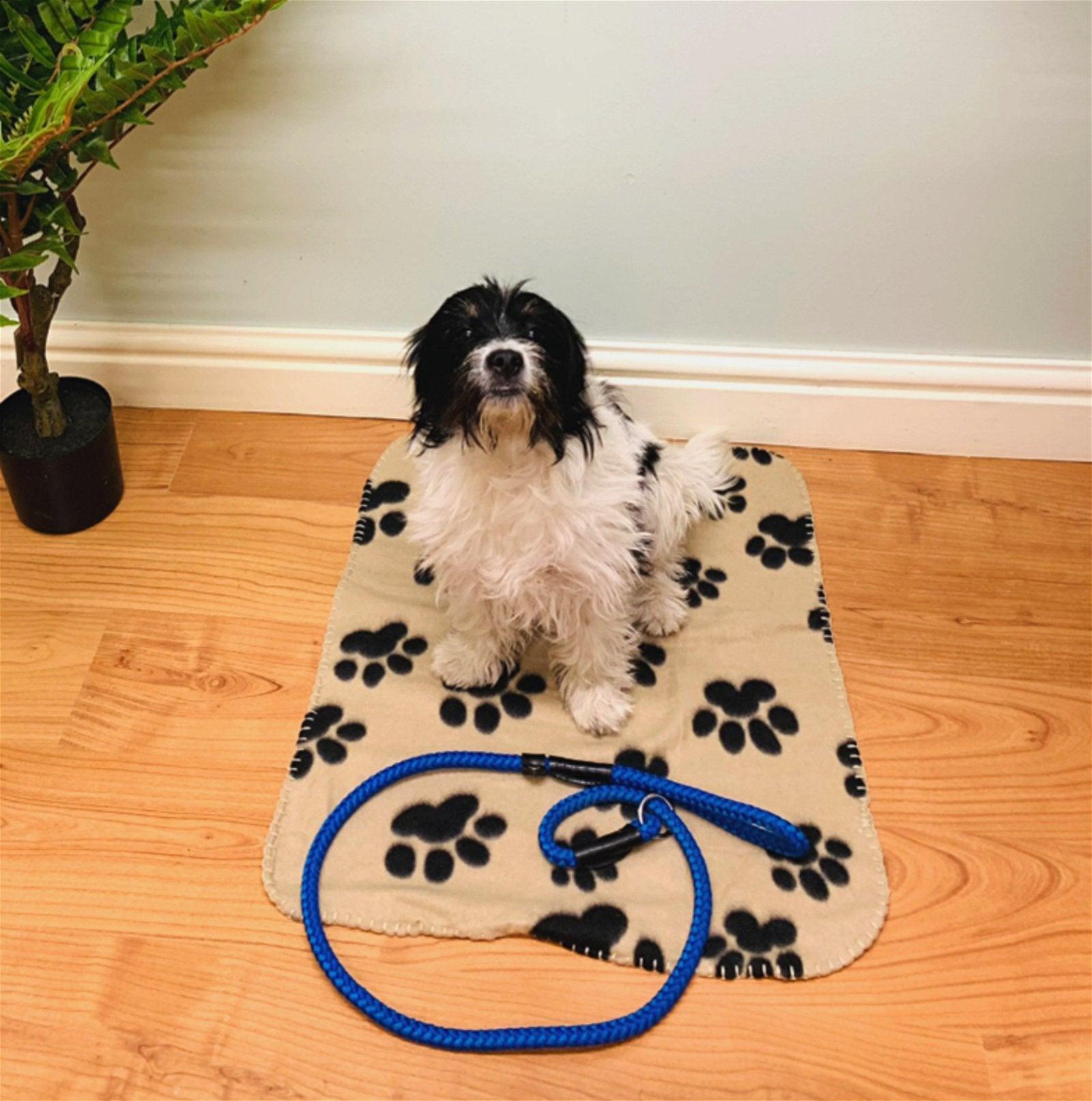 View Brown Paw Print Fleece Throw 60cm information