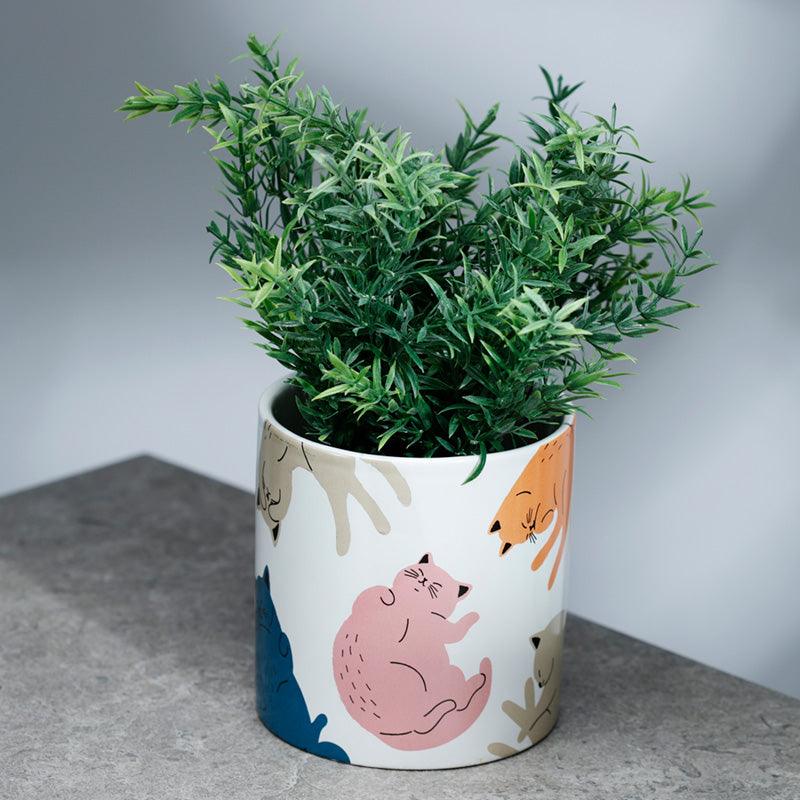 View Cats Life Ceramic Indoor Plant Pot Large information