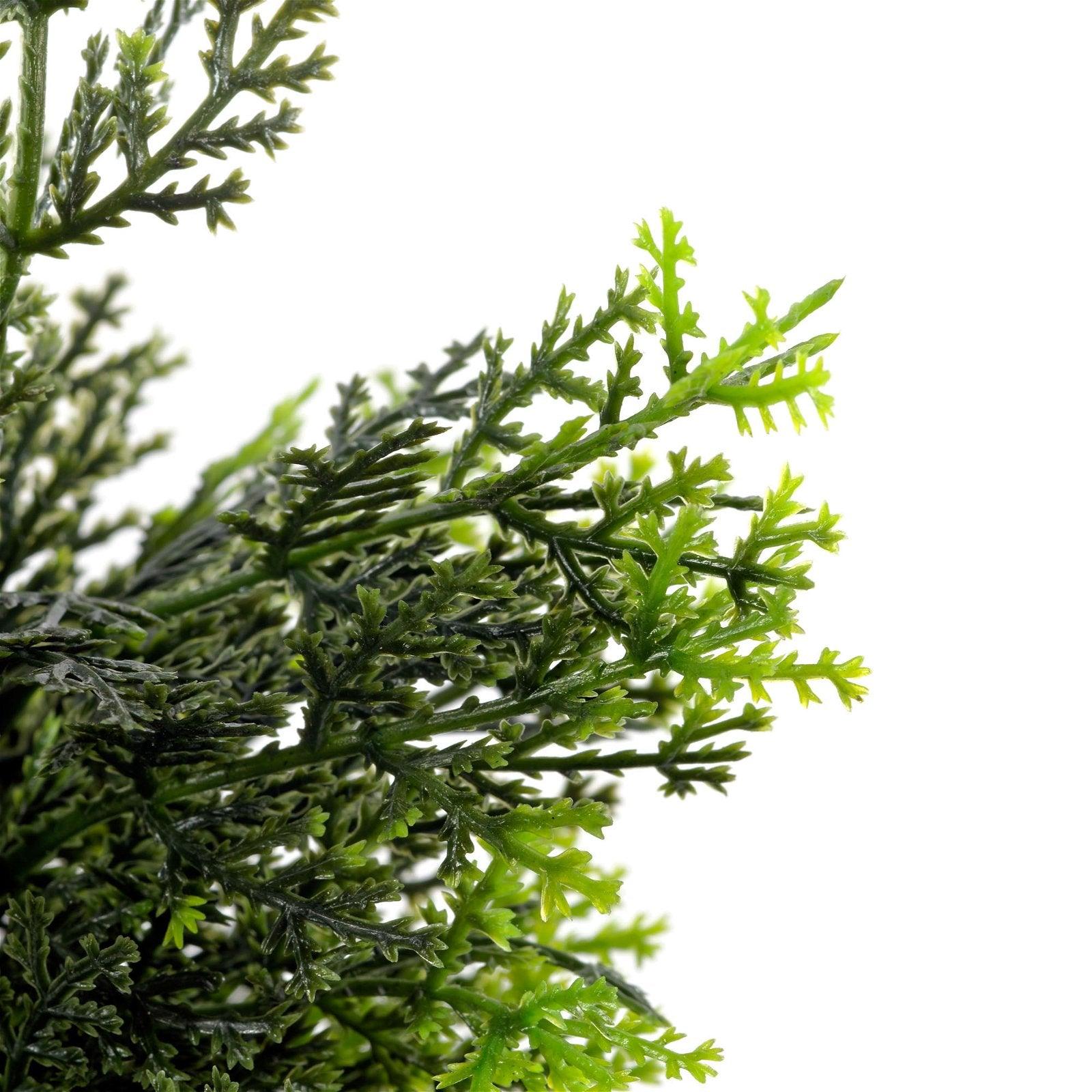 View Cedar Topiary 58cm information