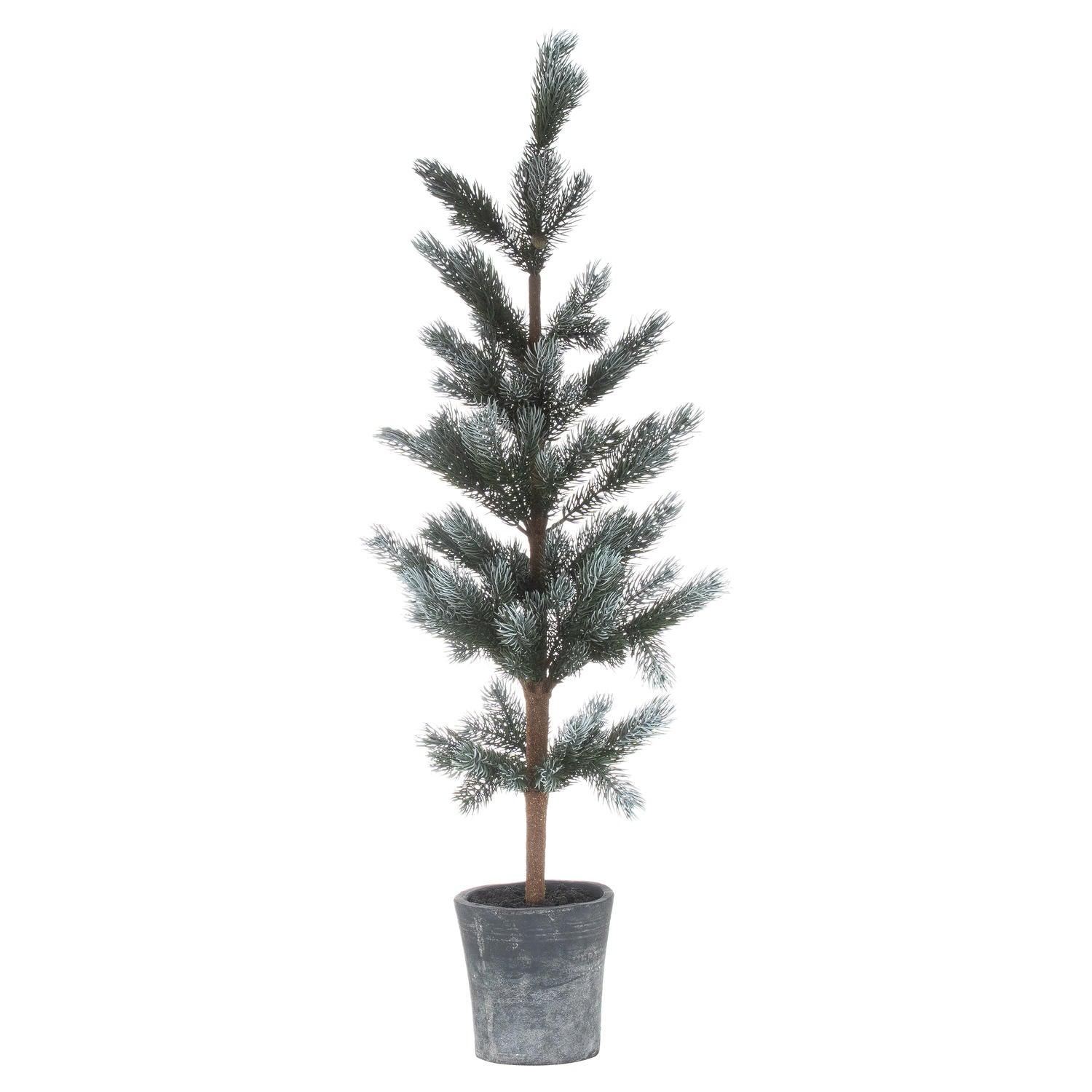 View Christmas Fir Tree In Stone Pot information