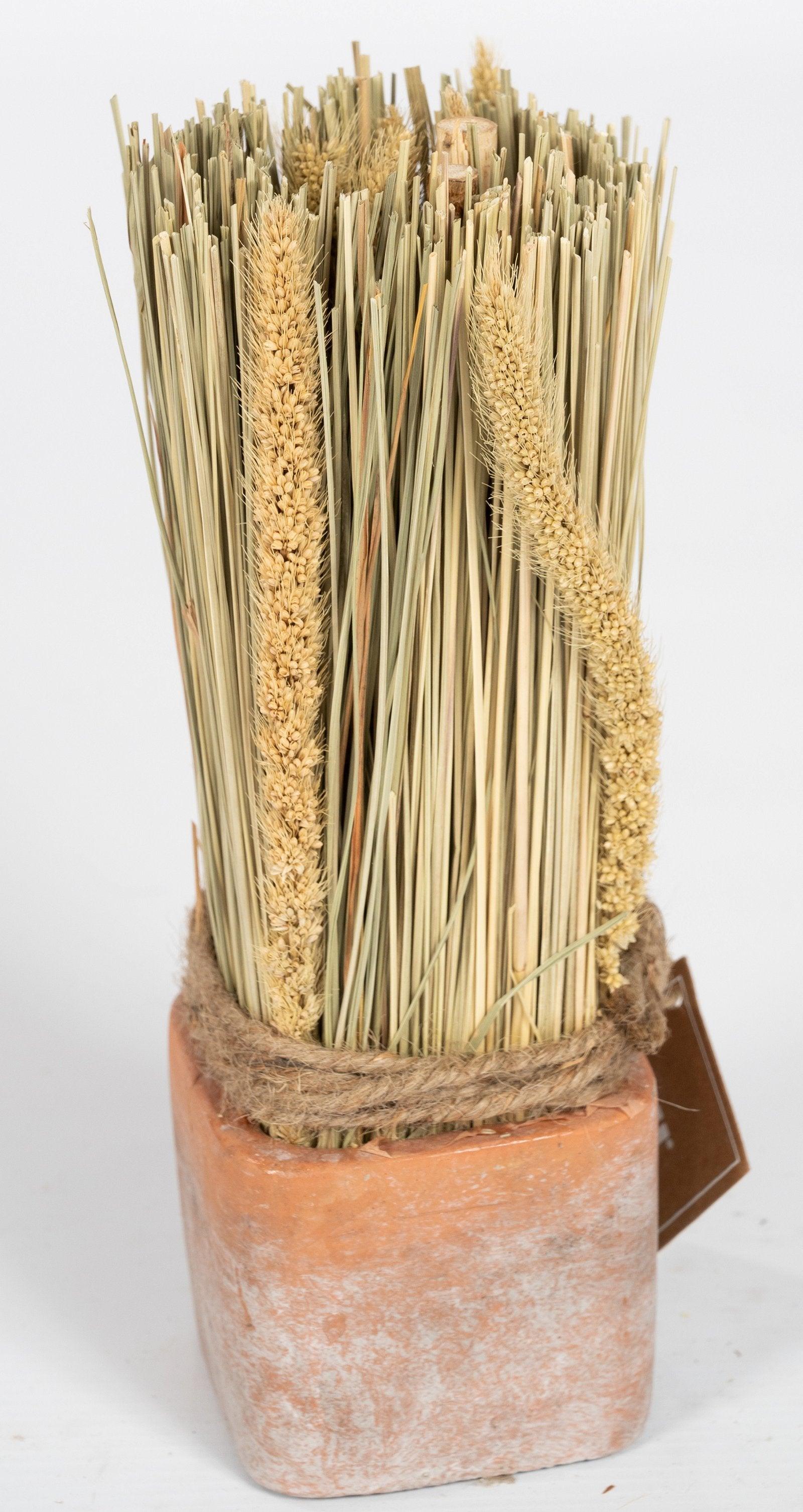 View Corn Dried Grass Bouquet in Terracotta Pot information