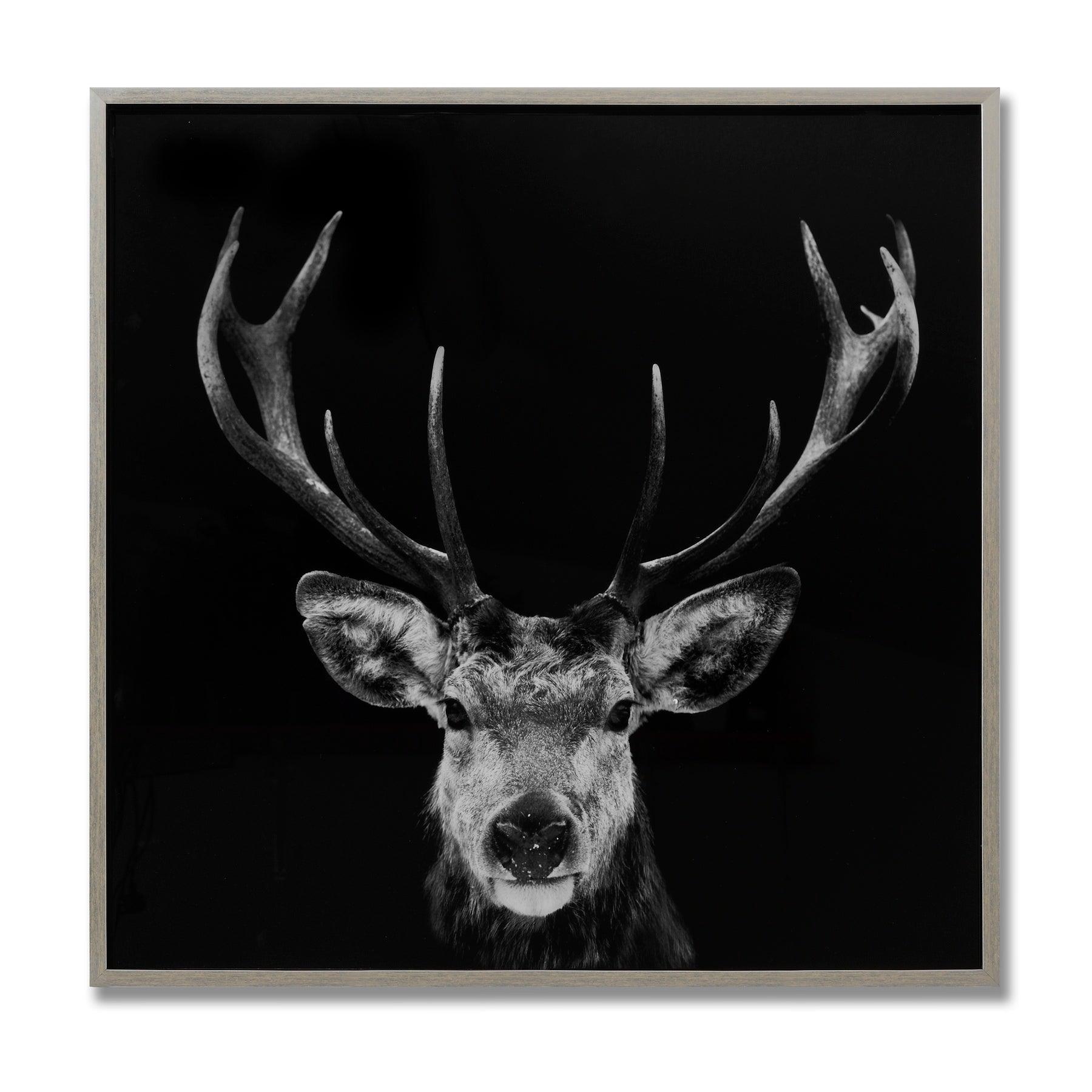 View Dark Stag Glass Image with Silver Frame information