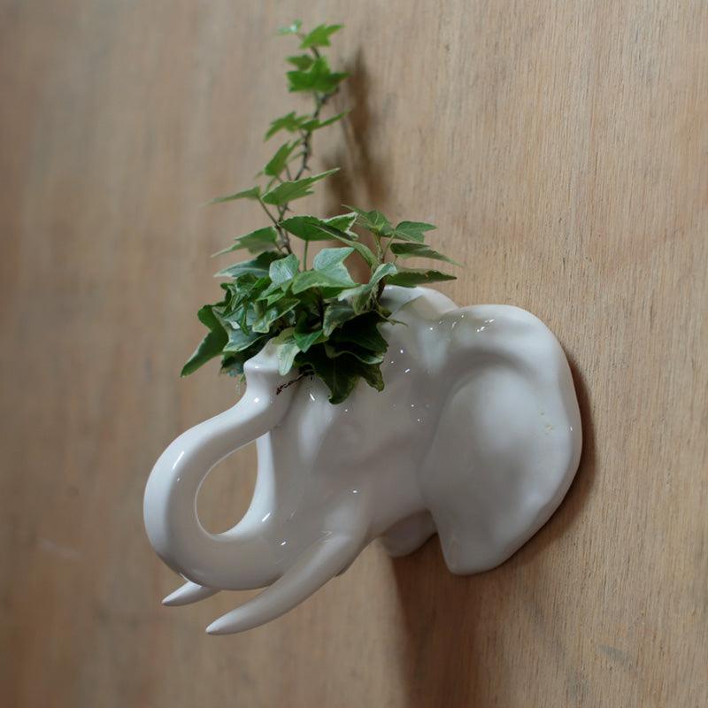 View Decorative Ceramic Indoor Wall Planter Elephant information