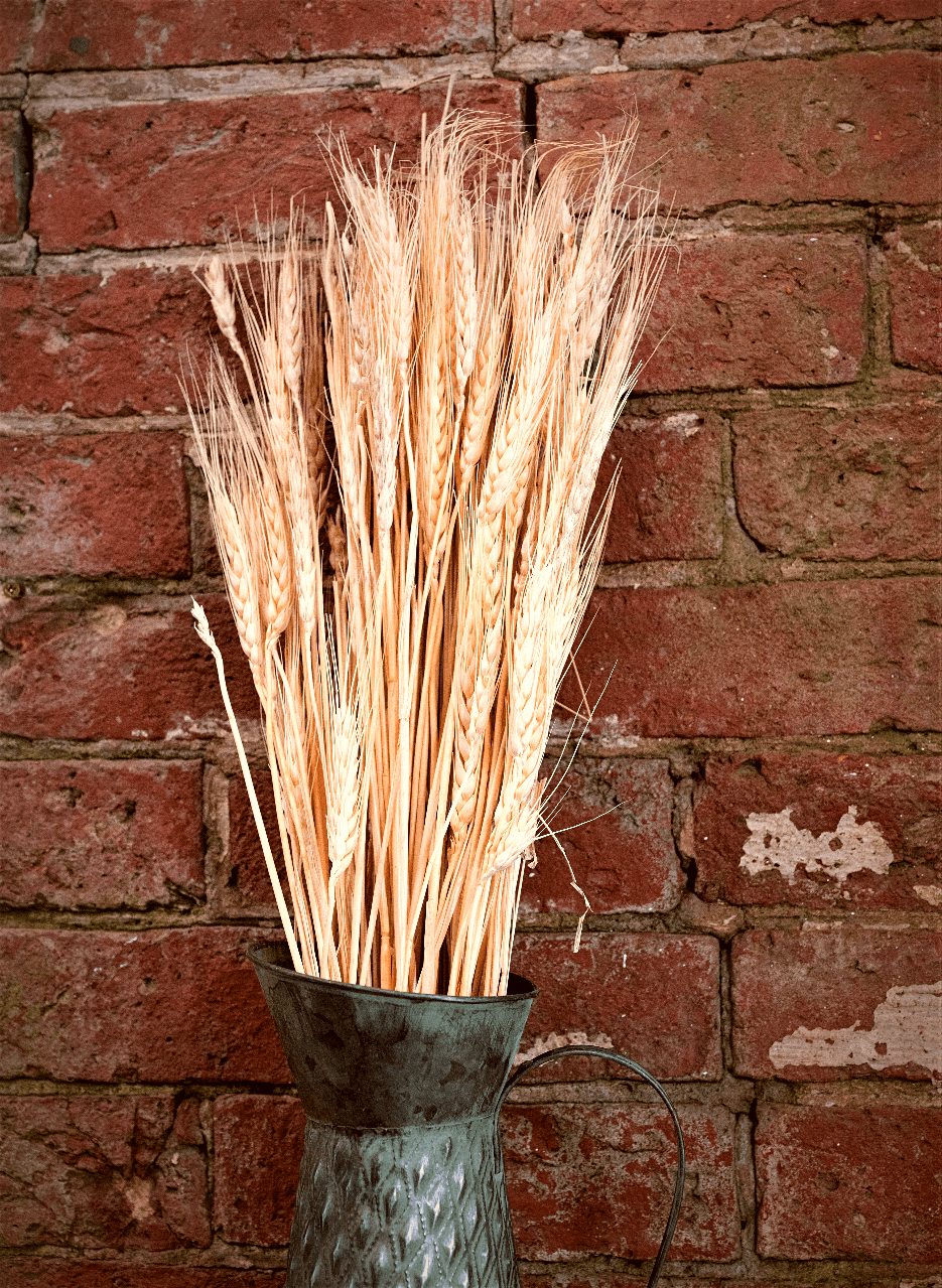 View Decorative Dried Wheat 60cm information