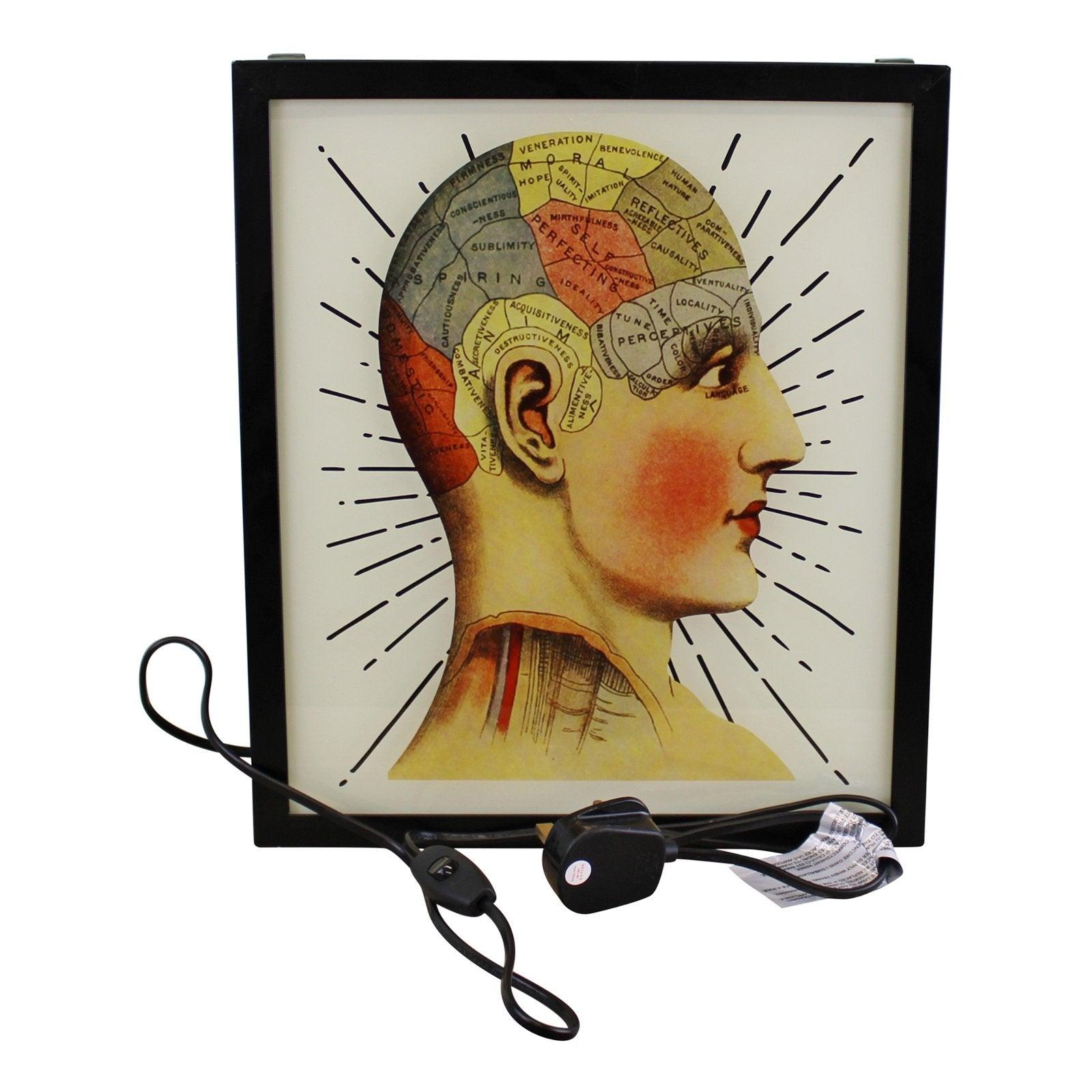 View Decorative Lightbox Phrenology Head information