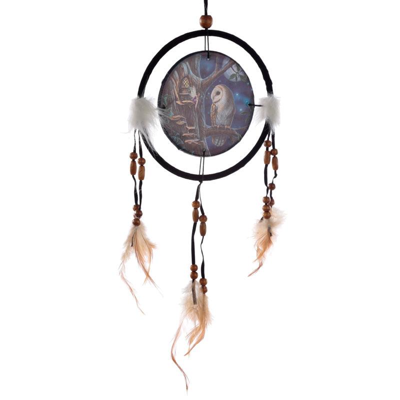 View Dreamcatcher Small Lisa Parker Fairy Tales Owl Fairy information