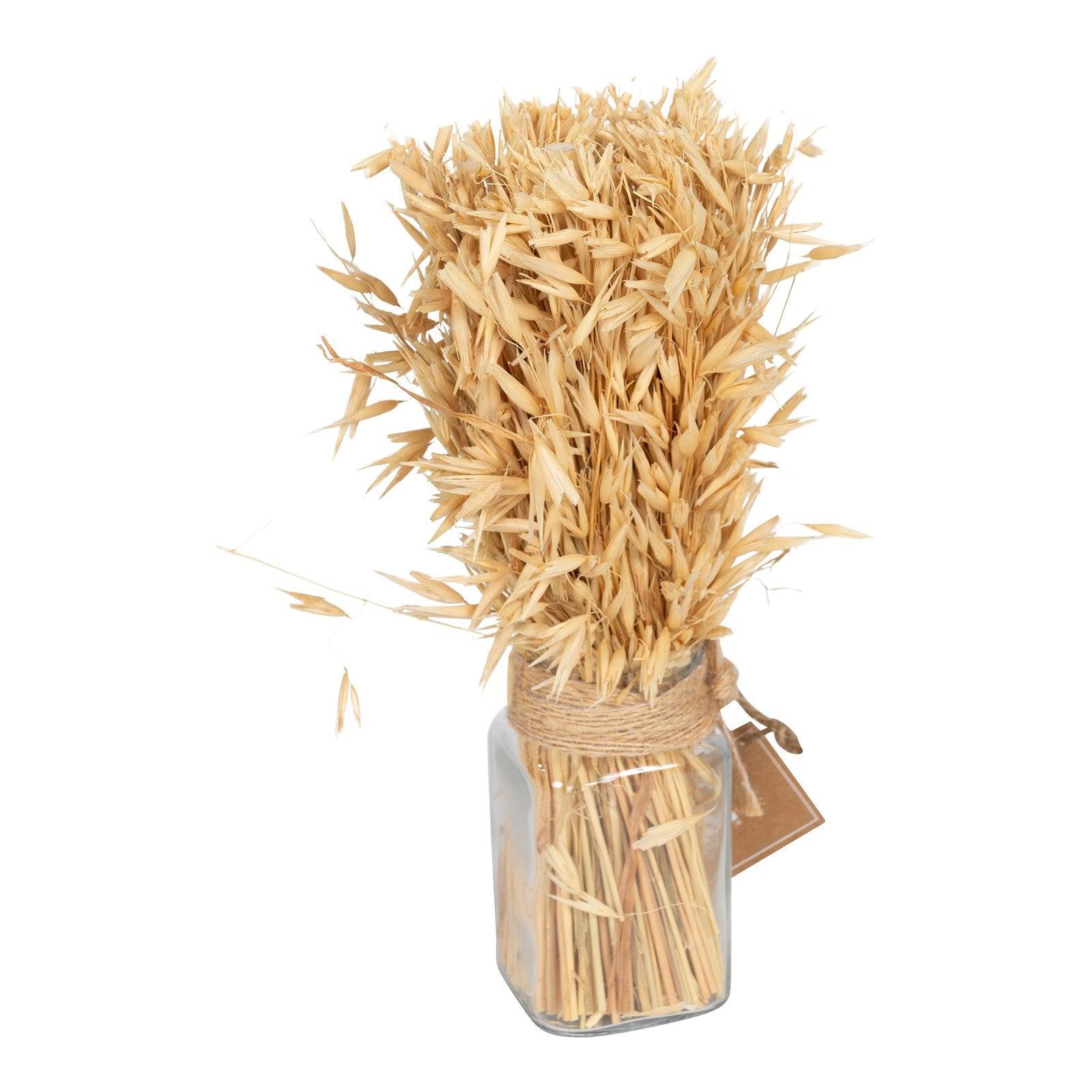 View Dried Oat Bouquet in Glass Jar 25cm information