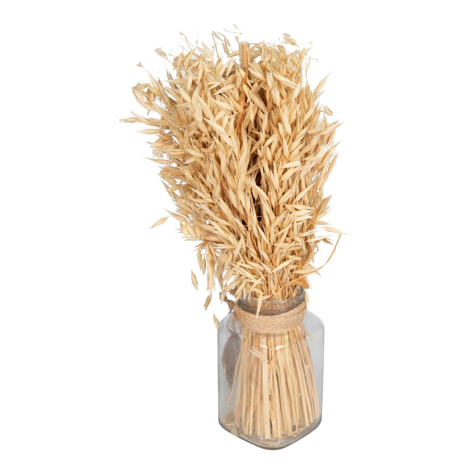 View Dried Oat Bouquet in Glass Jar 40cm information