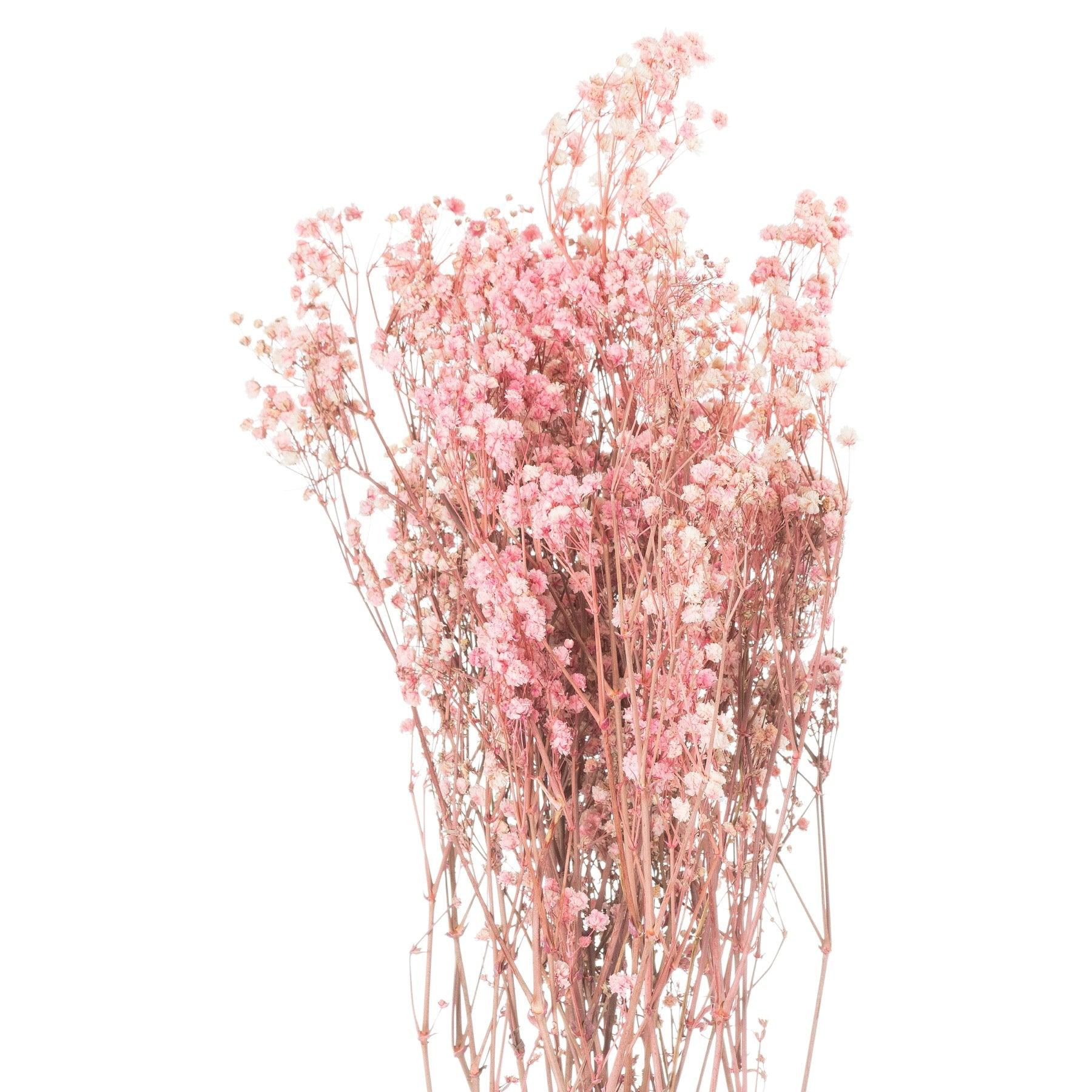 View Dried Pale Pink Babys Breath Bunch information