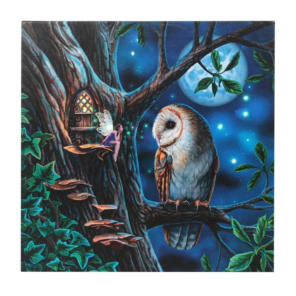 View Fairy Tales Light Up Canvas Plaque by Lisa Parker information
