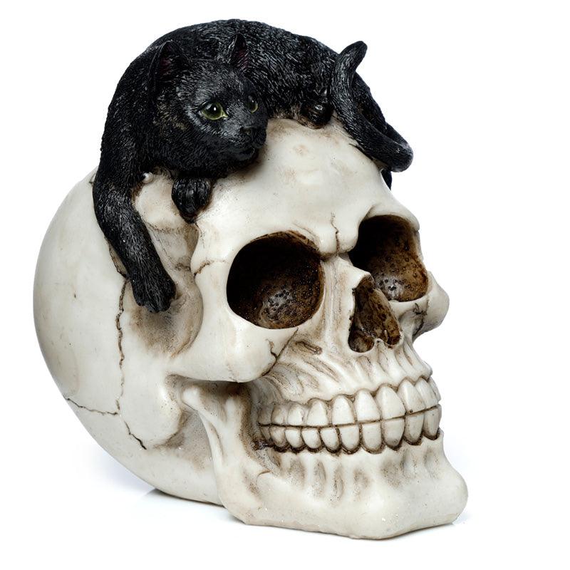 View Fantasy Skull Ornament Skull with Black Cat information