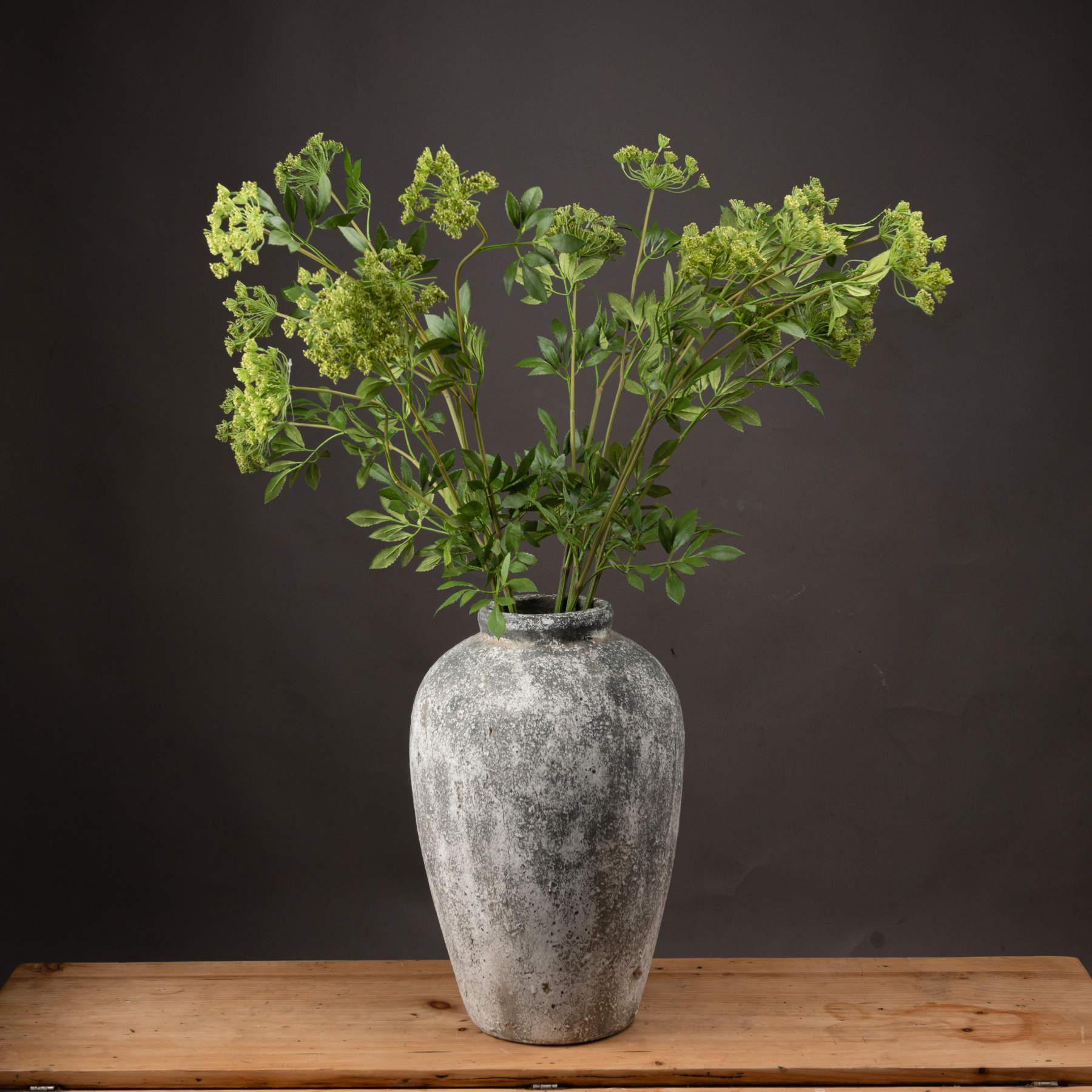 View Faux Cow Parsley Ammi information