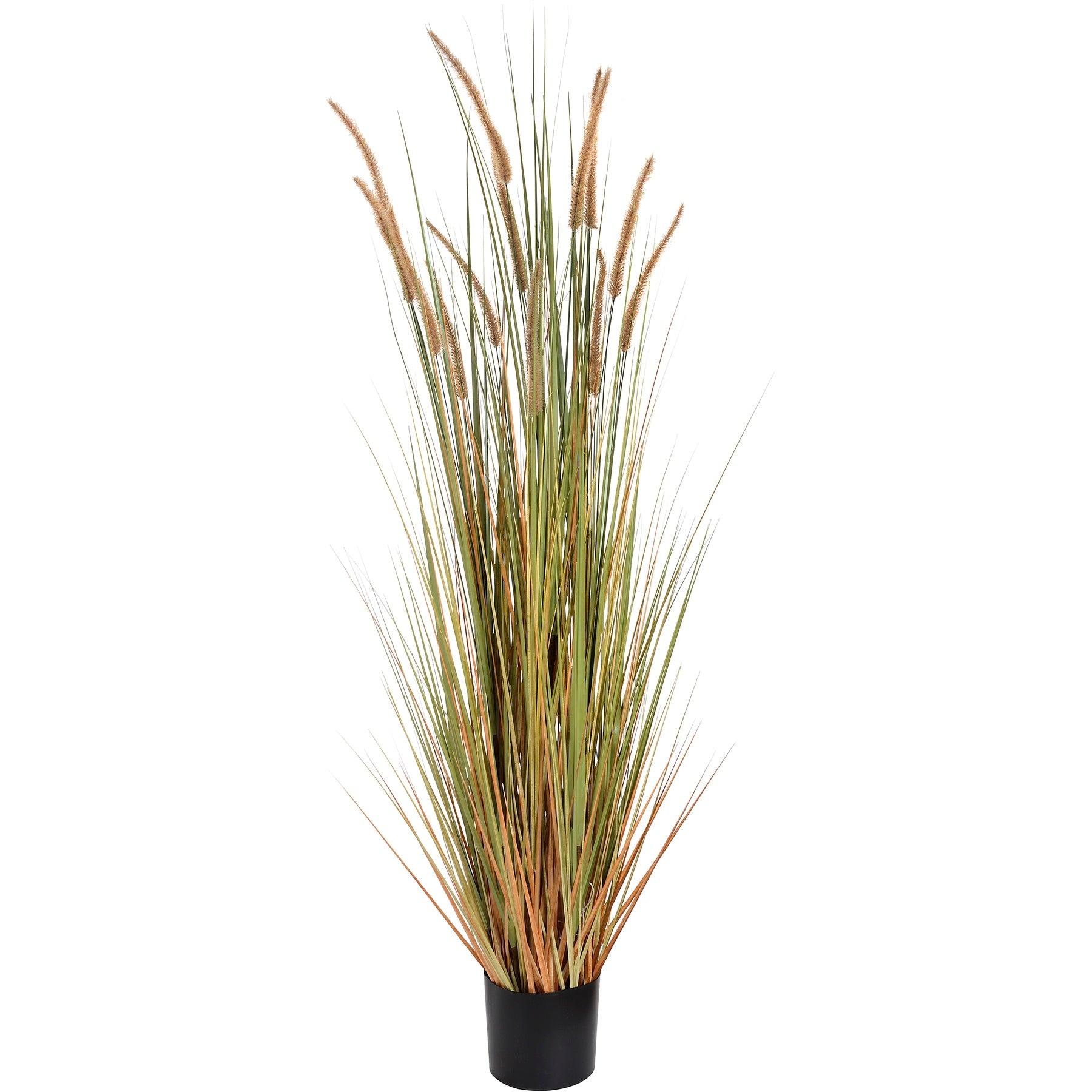 View Field Grass Pot 60 Inch information