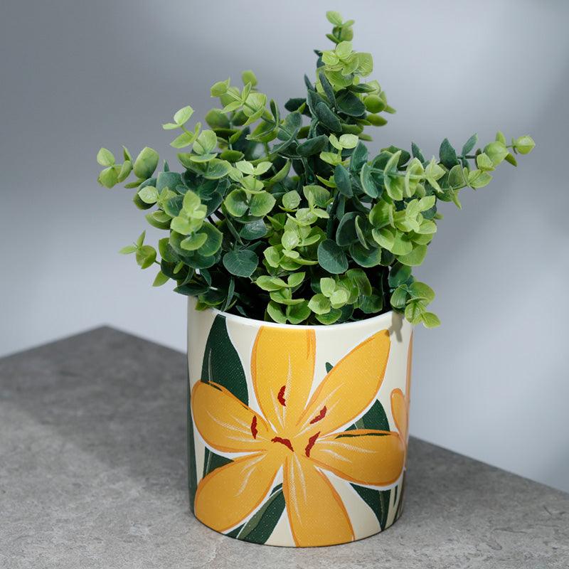 View Florens Hesperantha Ceramic Indoor Plant Pot Large information