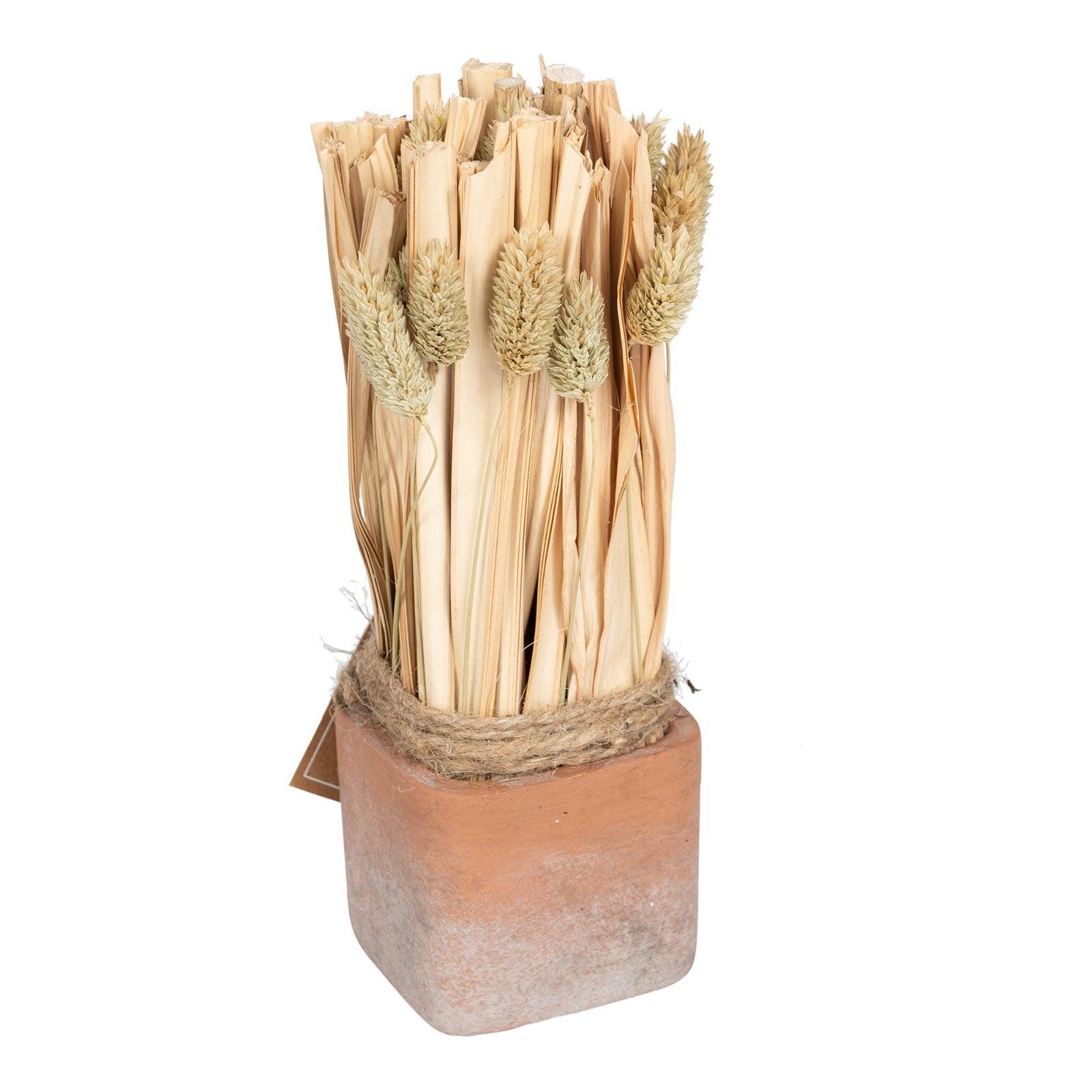 View Fluffy Dried Grass Bouquet in Terracotta Pot information