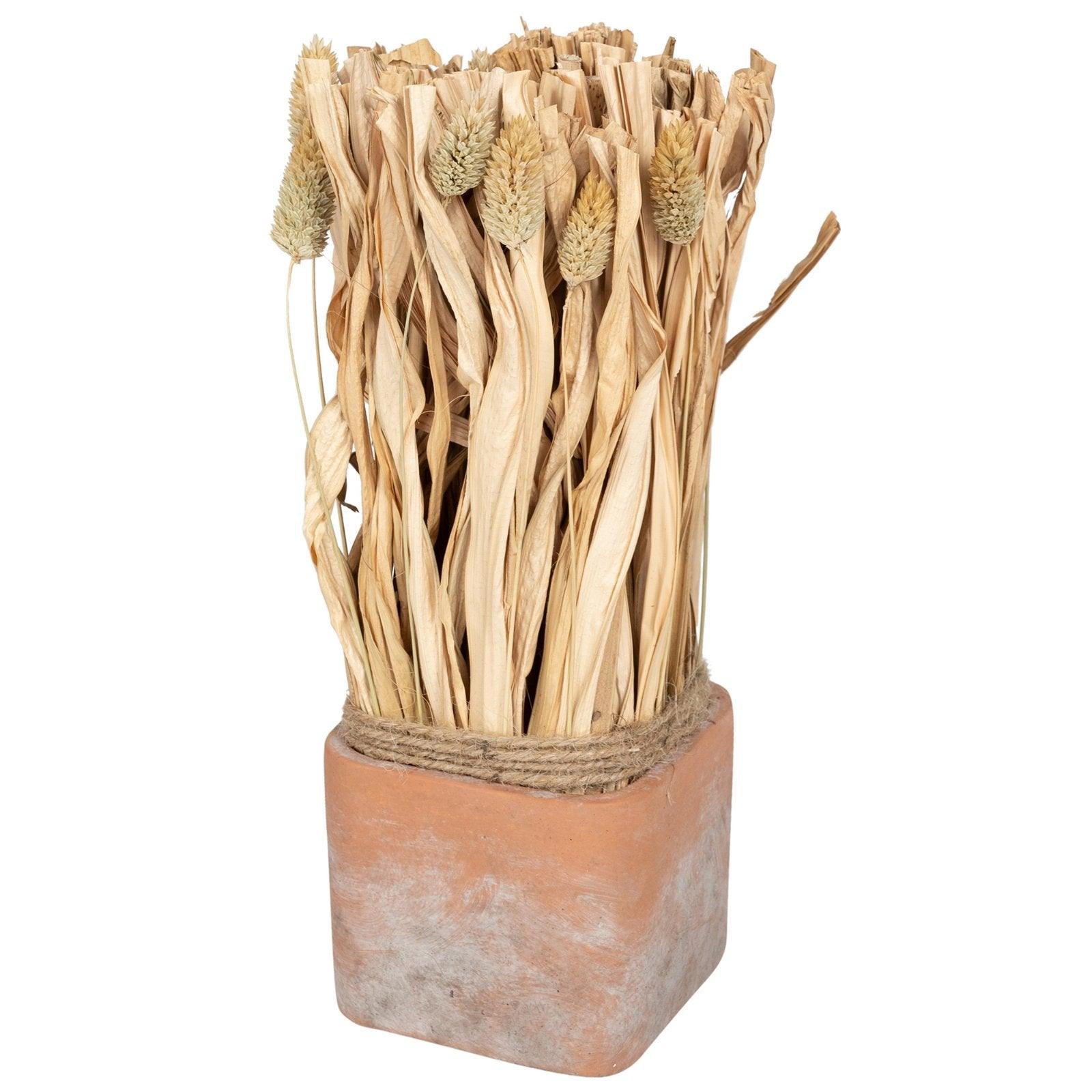 View Fluffy Dried Grass Bouquet in Terracotta Pot Large information