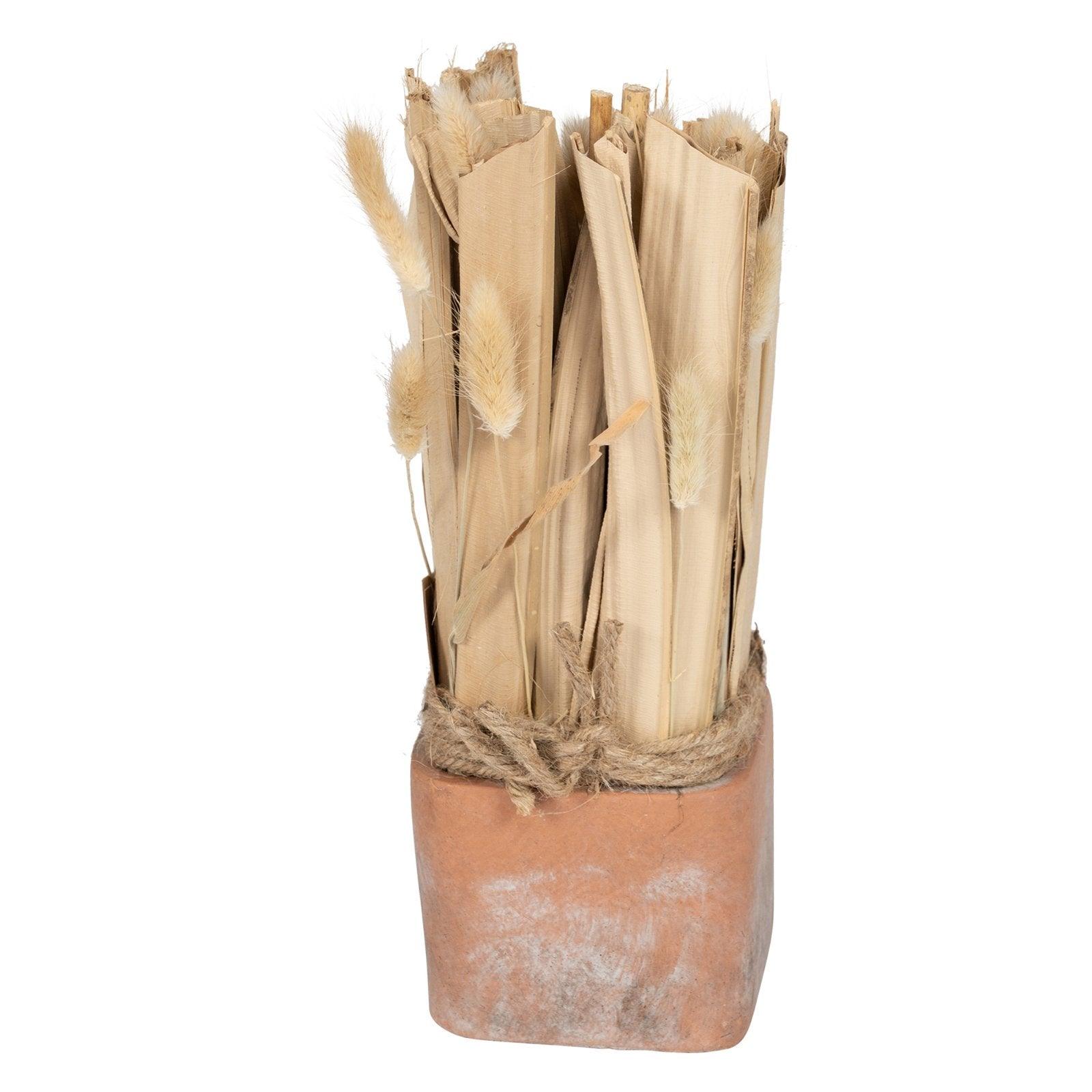 View Fox Tail Dried Grass Bouquet in Terracotta Pot information