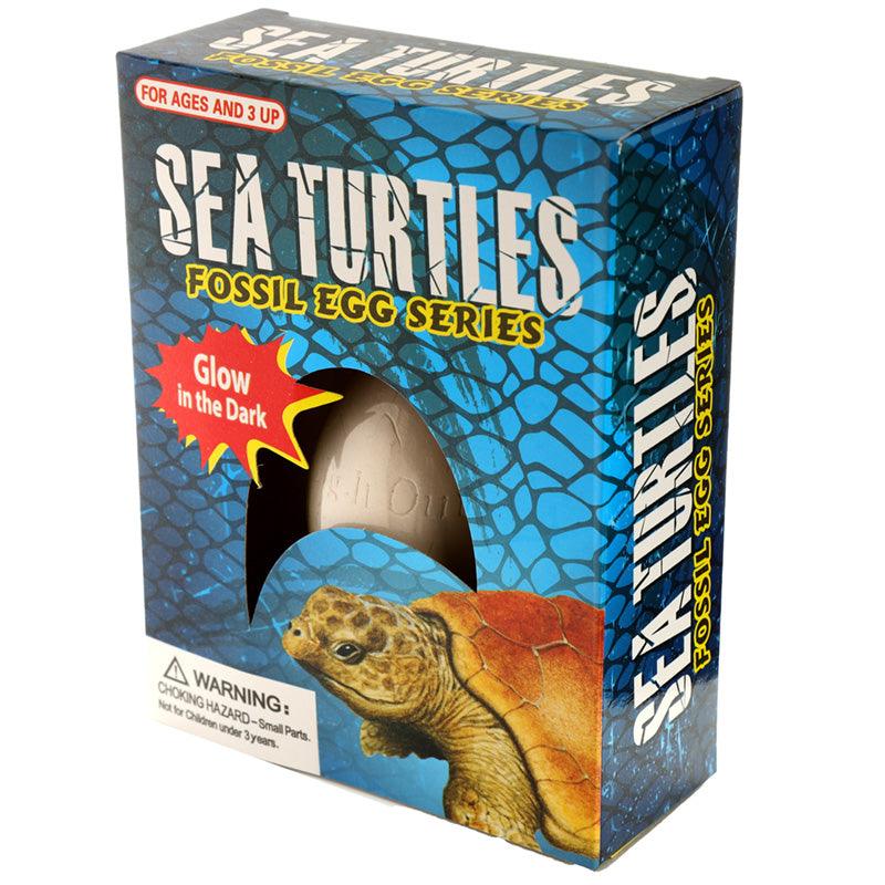 View Fun Kids Sea Turtle Glow in the Dark Dig it Out Excavation Kit information