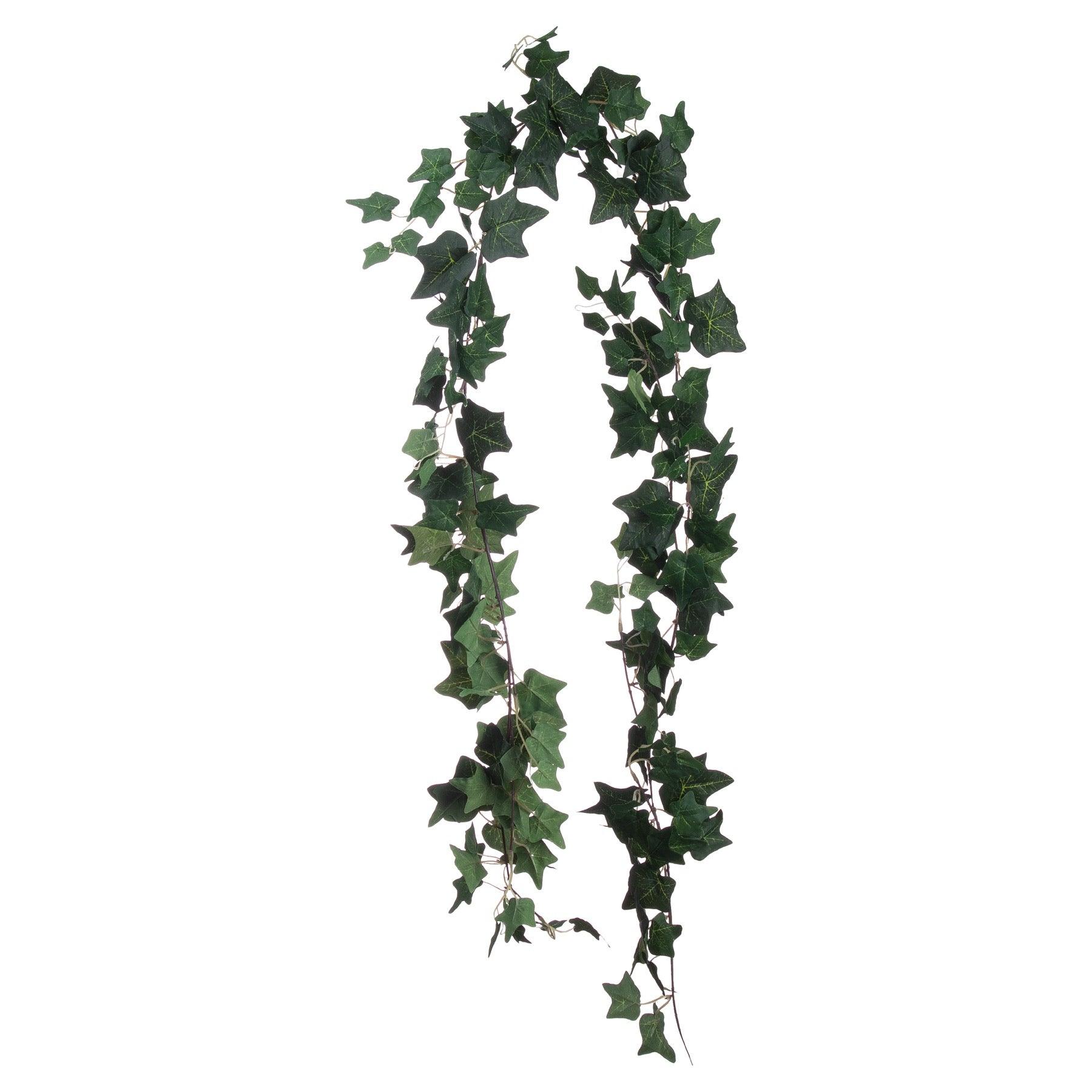 View Ivy Garland information