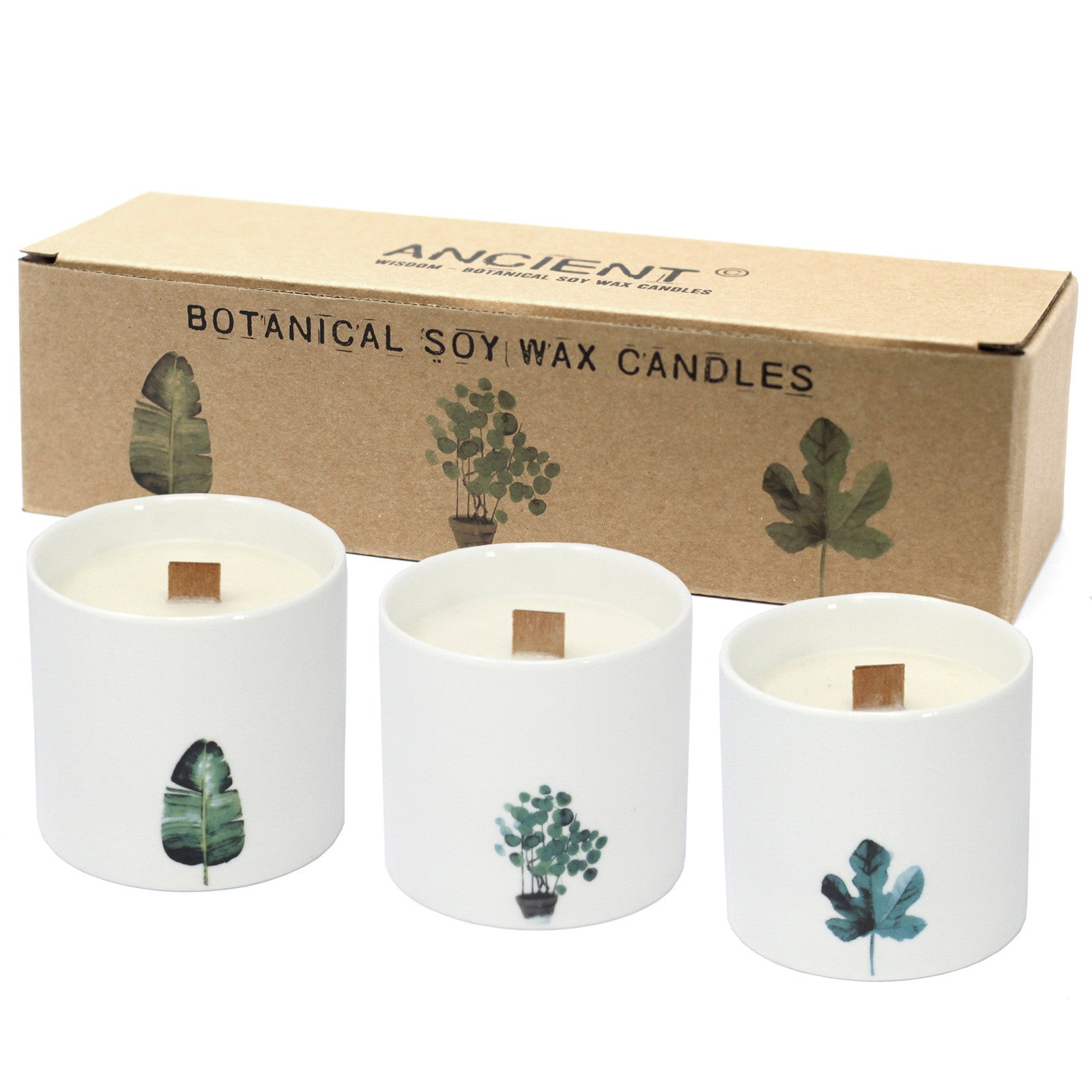 View Large Botanical Candles Wild Jasmine information