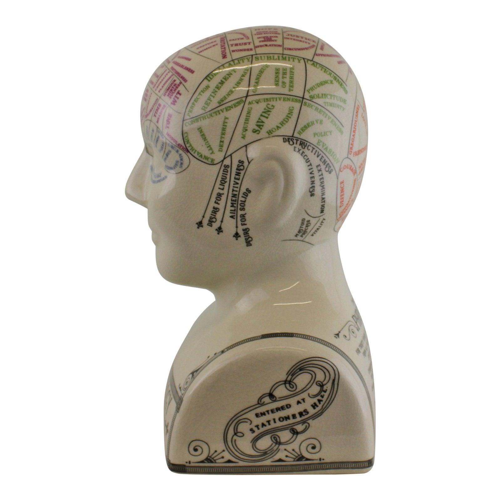 View Large Ceramic Crackle Phrenology Head information