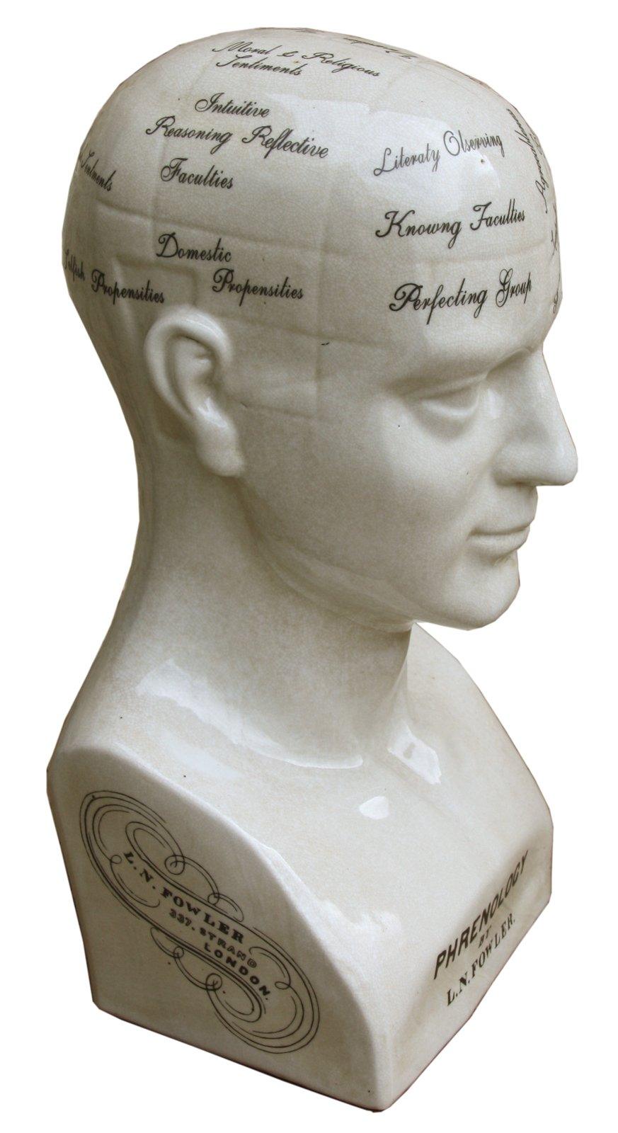 View Large Ceramic Phrenology Head 42cm information