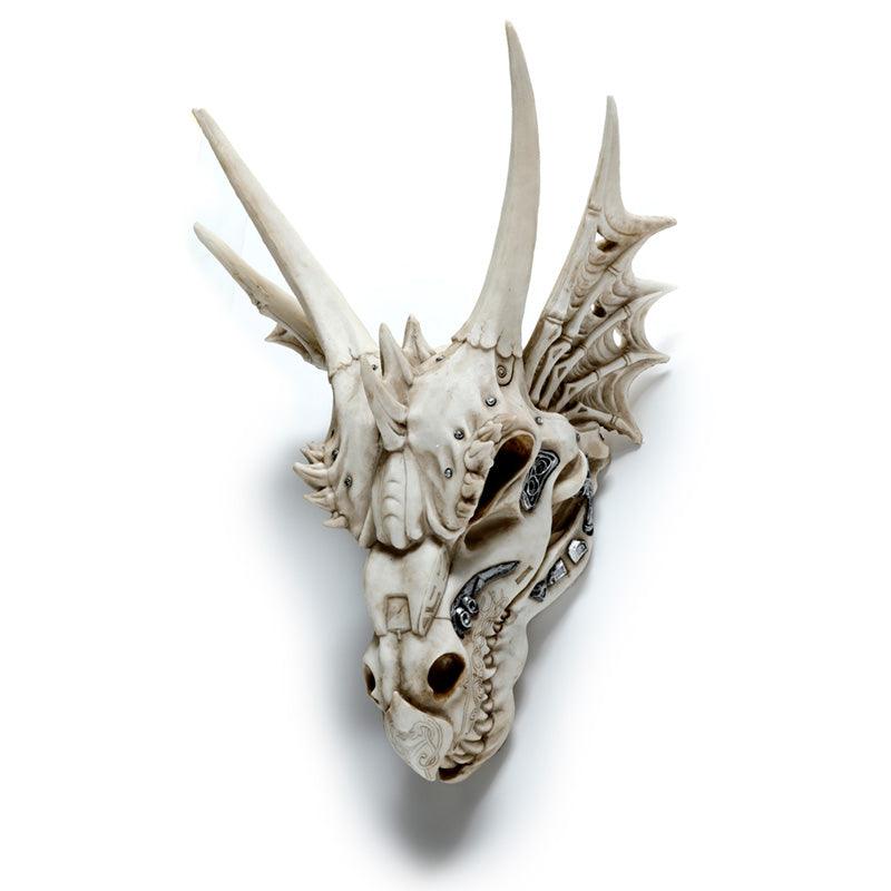 View Large Dragon Skull Decoration with Metallic Detail information