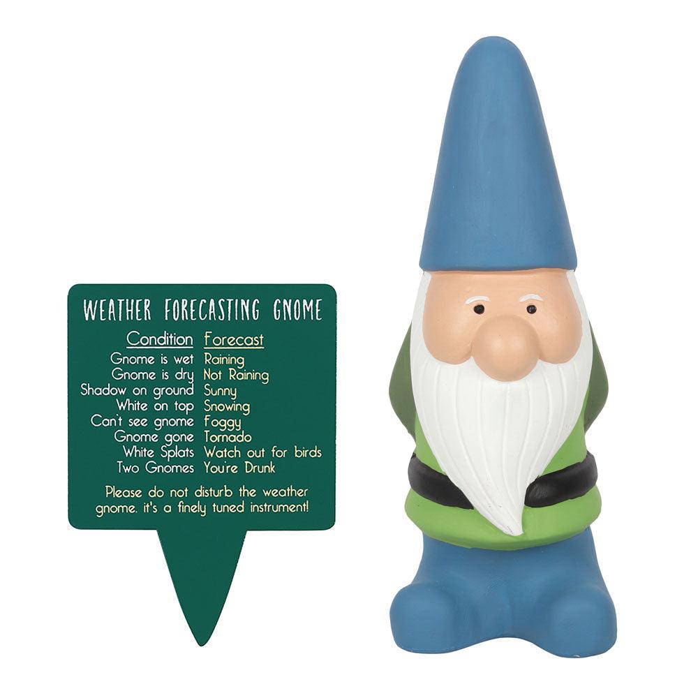View Large Weather Forecasting Gnome information