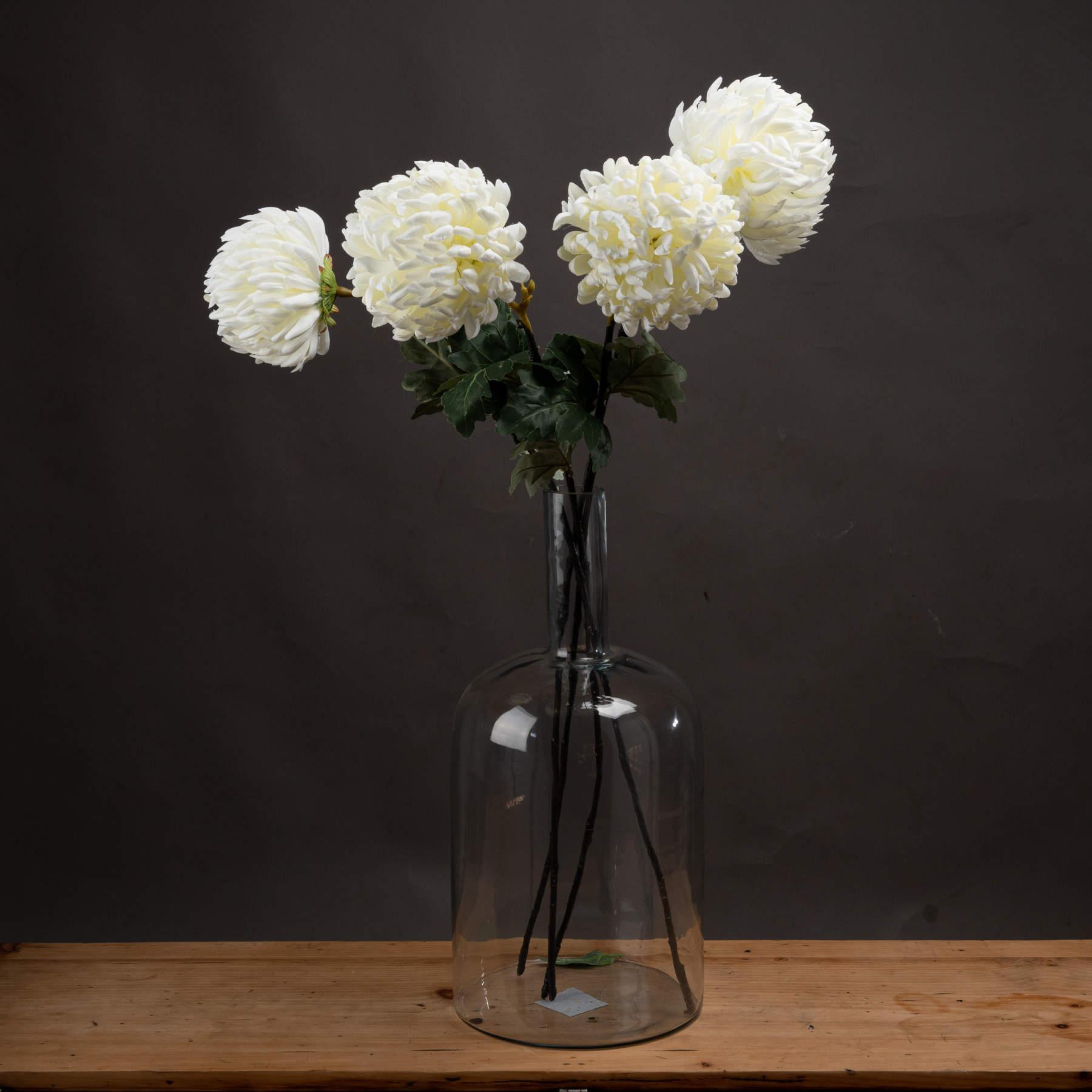 View Large White Chrysanthemum information