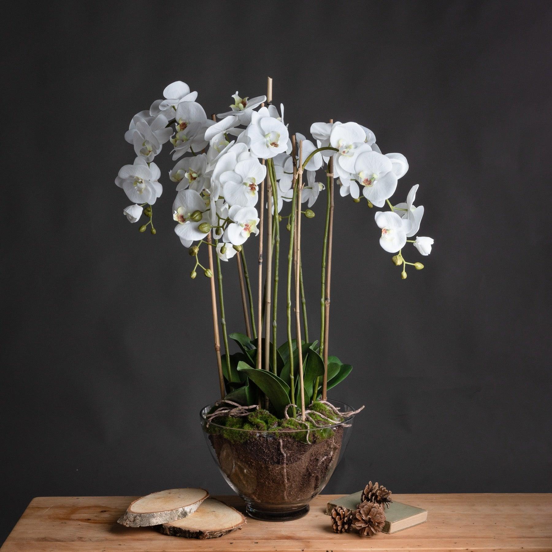 View Large White Orchid In Glass Pot information