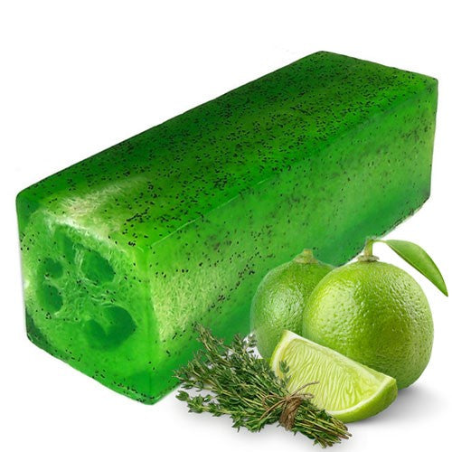 View Loofah Soap Loaf Lime Thyme Toughy information
