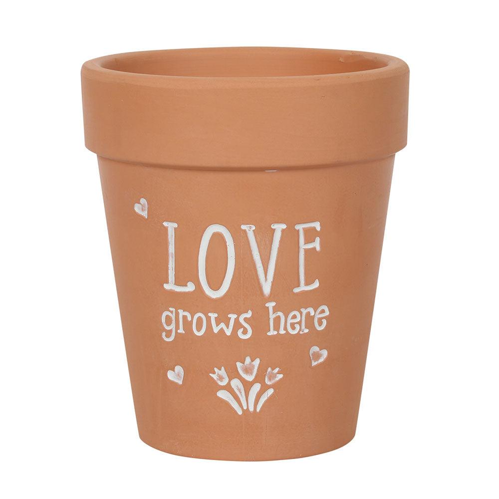 View Love Grows Here Terracotta Plant Pot information
