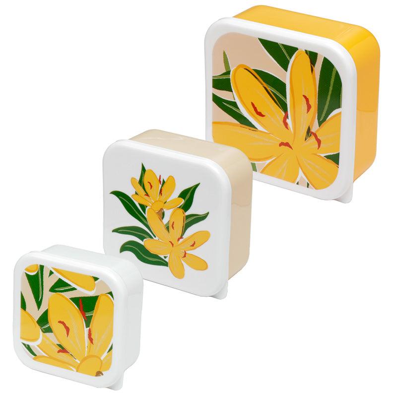 View Lunch Boxes Set of 3 MLXL Florens Hesperantha information