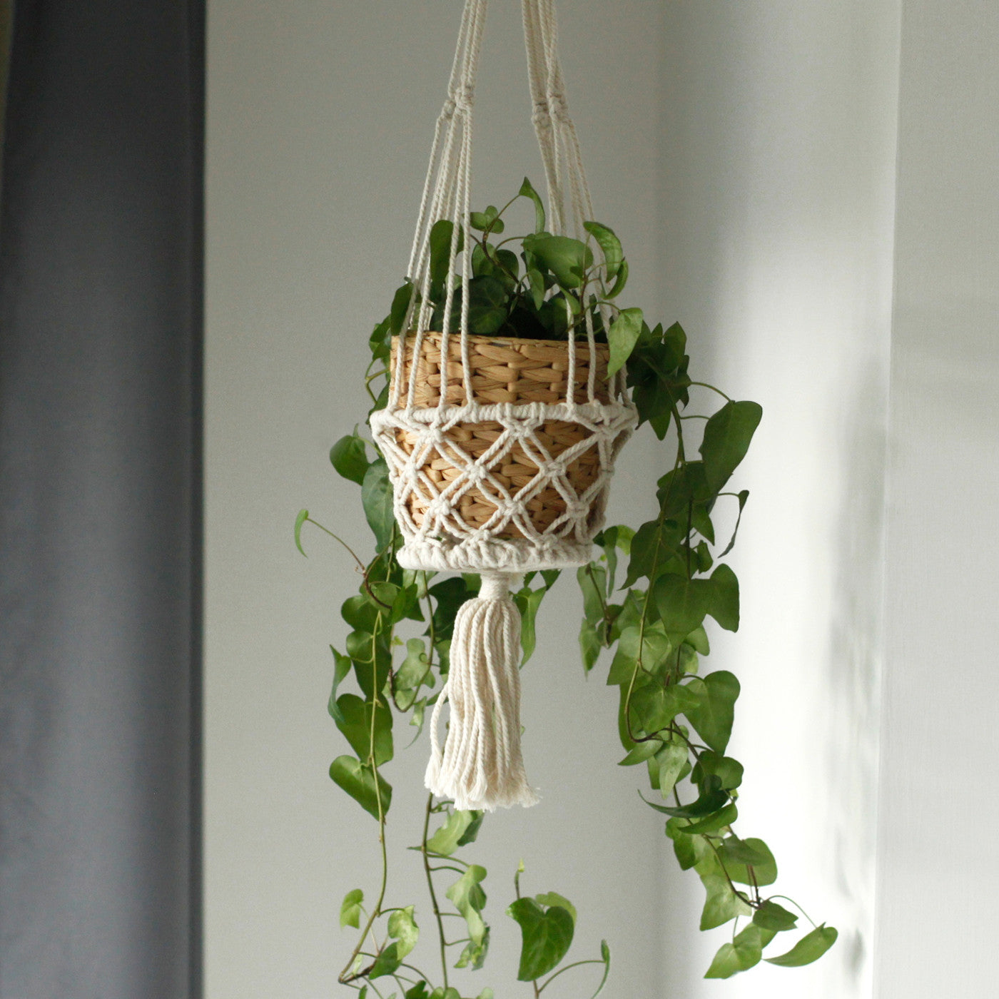 View Macrame Pot Holder Double Holder information