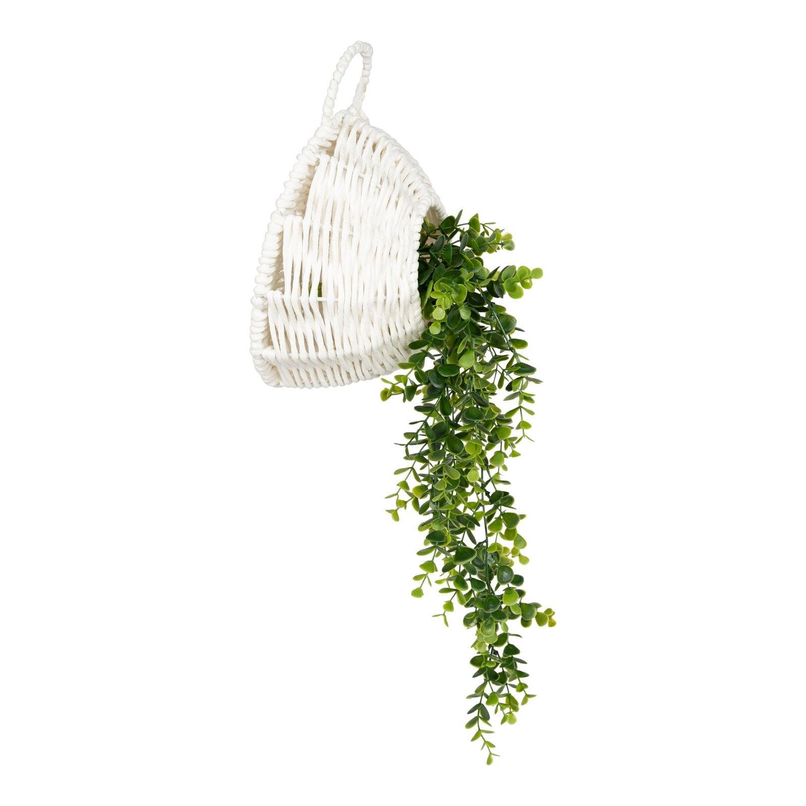 View Macrame Waxed Wall Hanging Faux Eucalyptus Decoration information