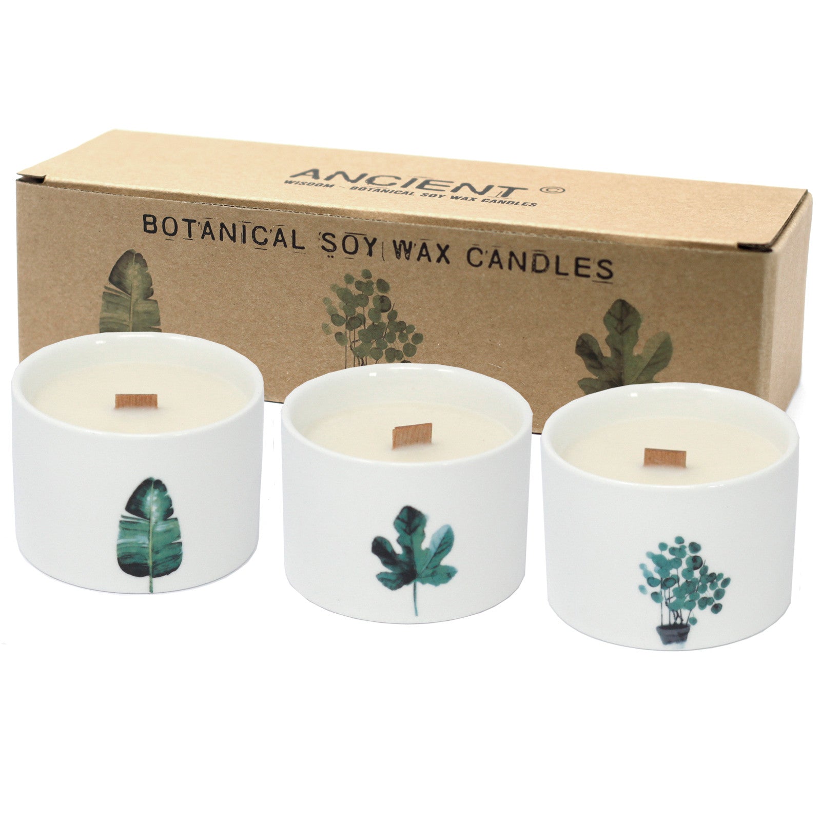 View Med Botanical Candles Lemon Honeysuckle information