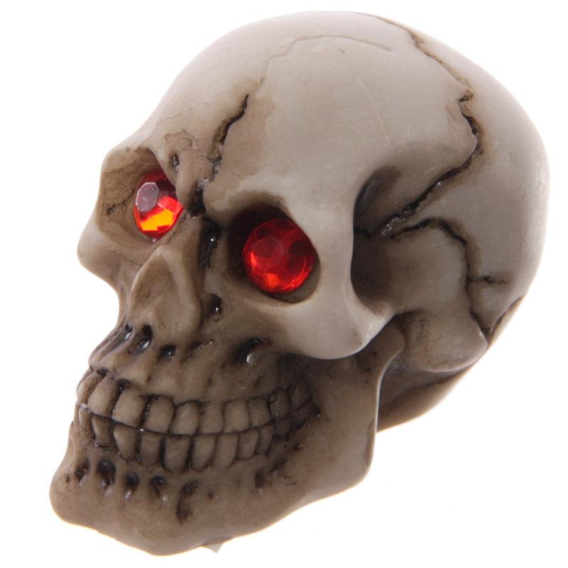 View Novelty Red Eyed Skull Decoration information